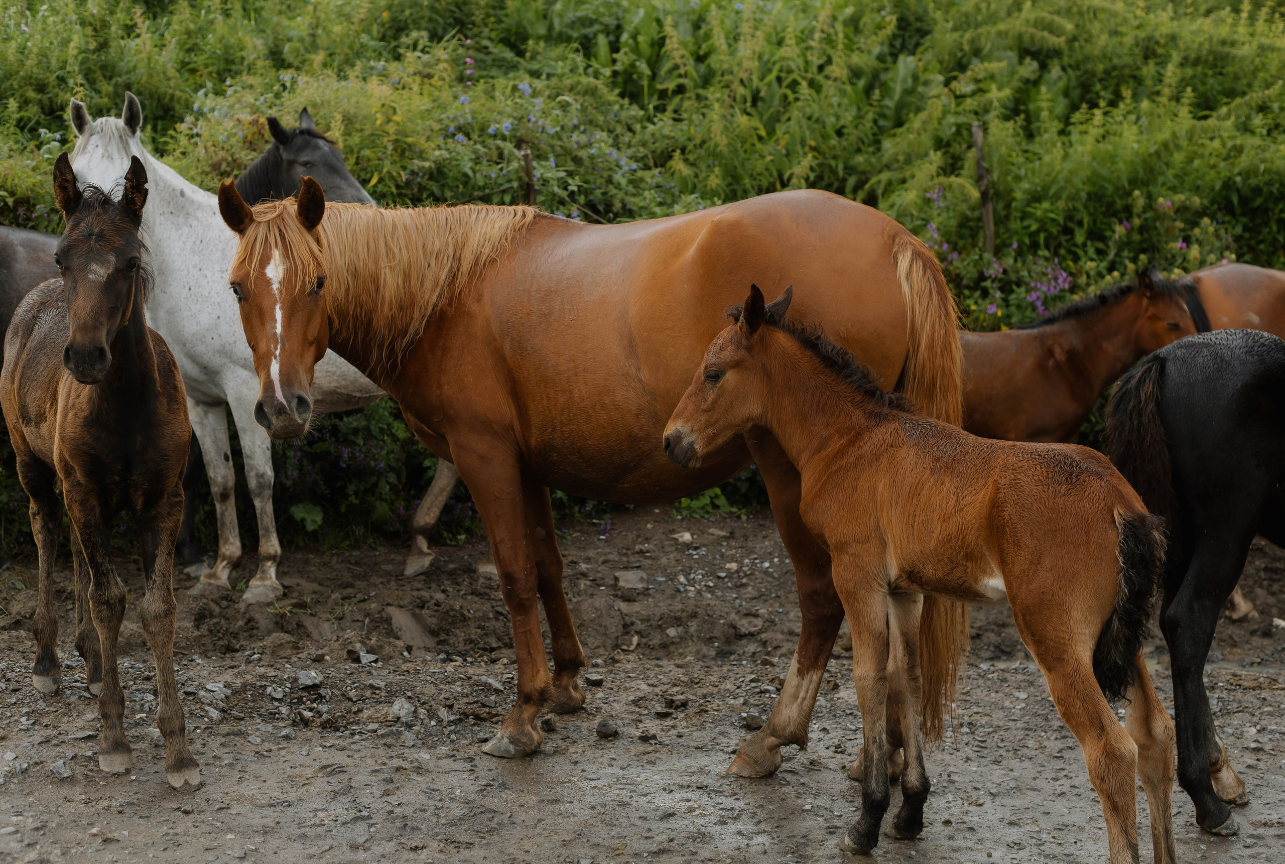 Travel. Фото, видео и контент съемки в Москве