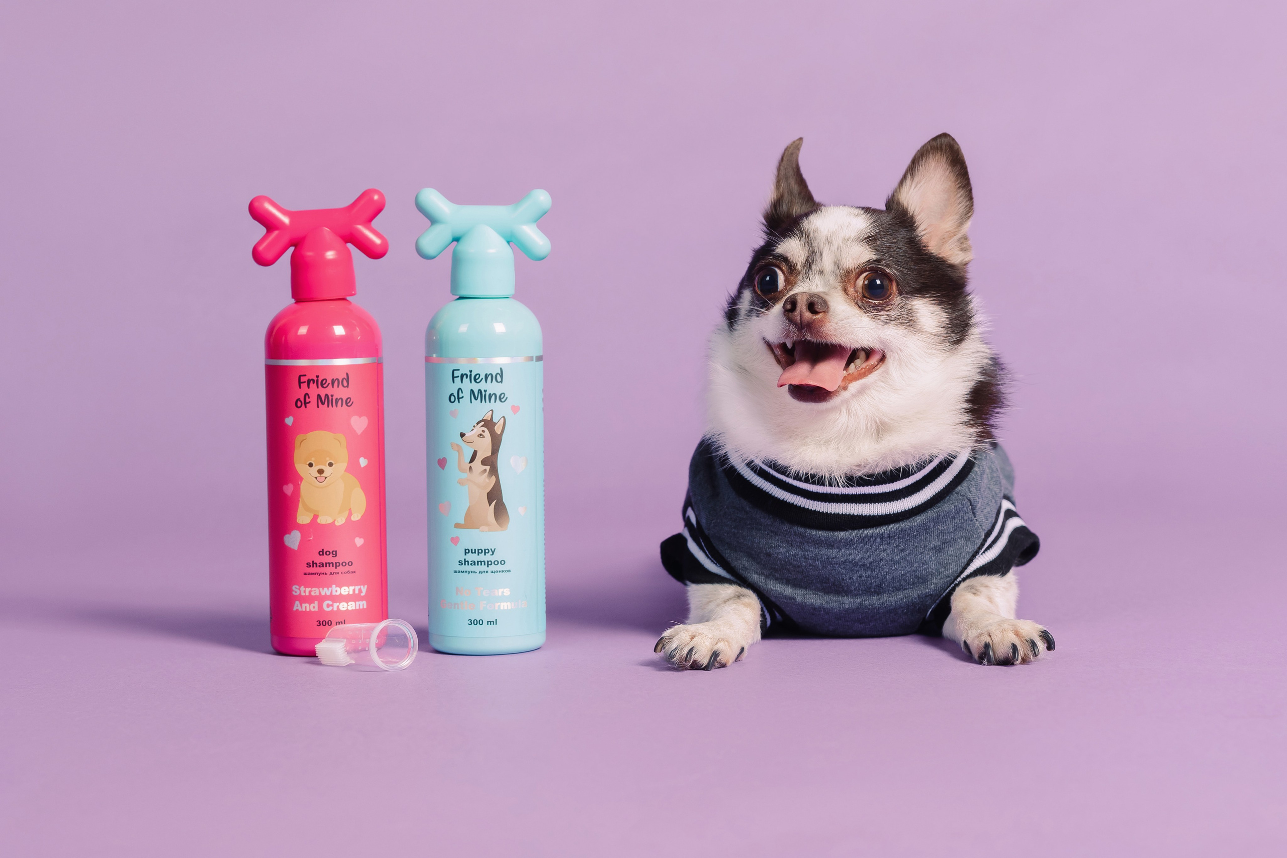 Магазин Friend of mine. Фотограф-анималист Елена Радченко, Москва