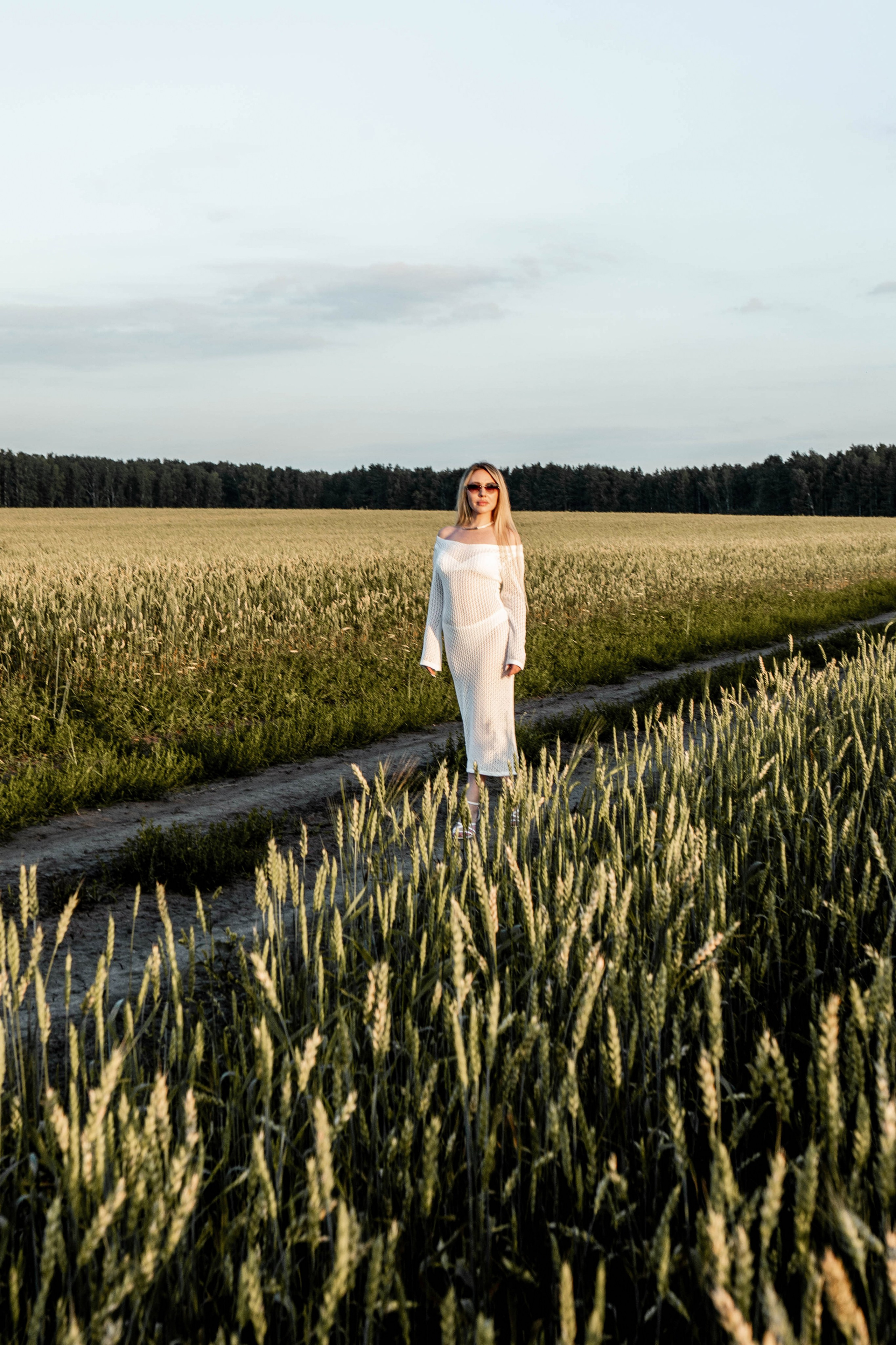 Ромашки. Фотограф Екатерина Голицына