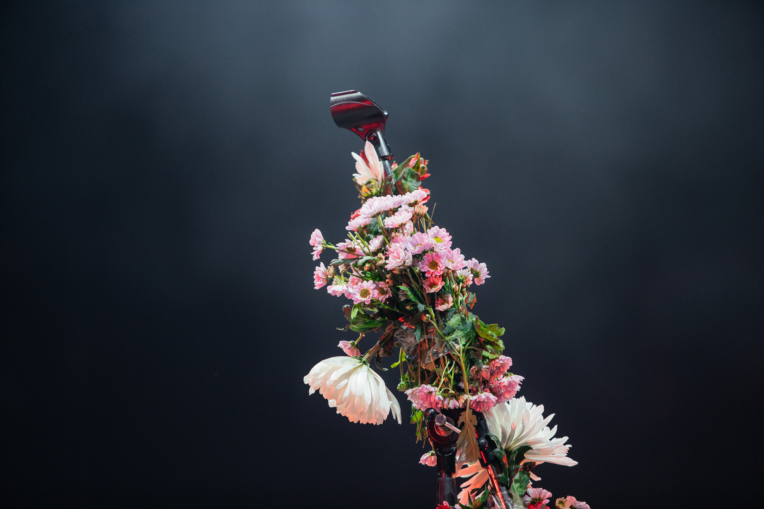 Алена Швец в Adrenaline Stadium. Светский фотограф — Анисина Ирина