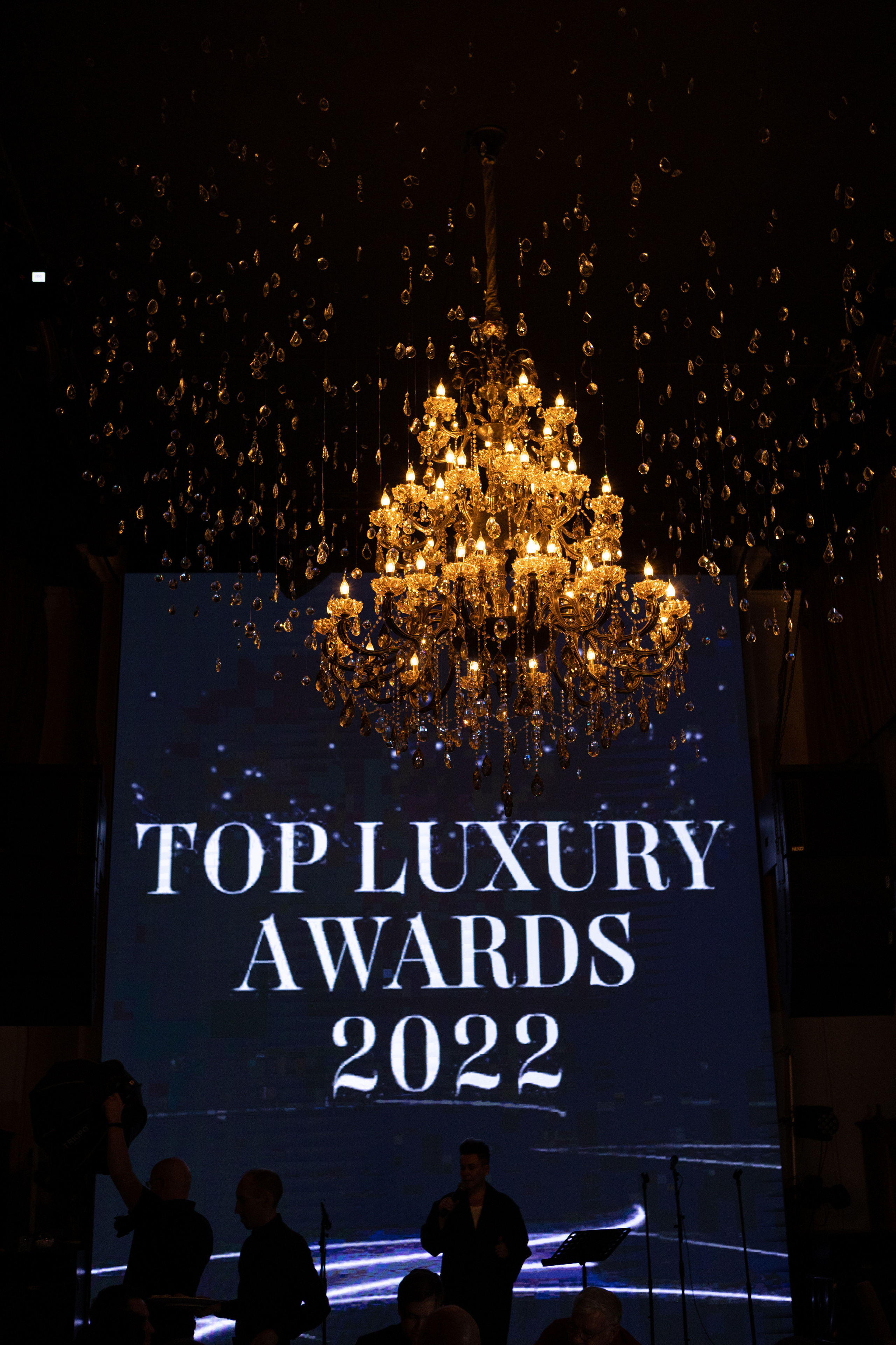 TOP LUXURY AWARD 2022. Светский фотограф — Анисина Ирина