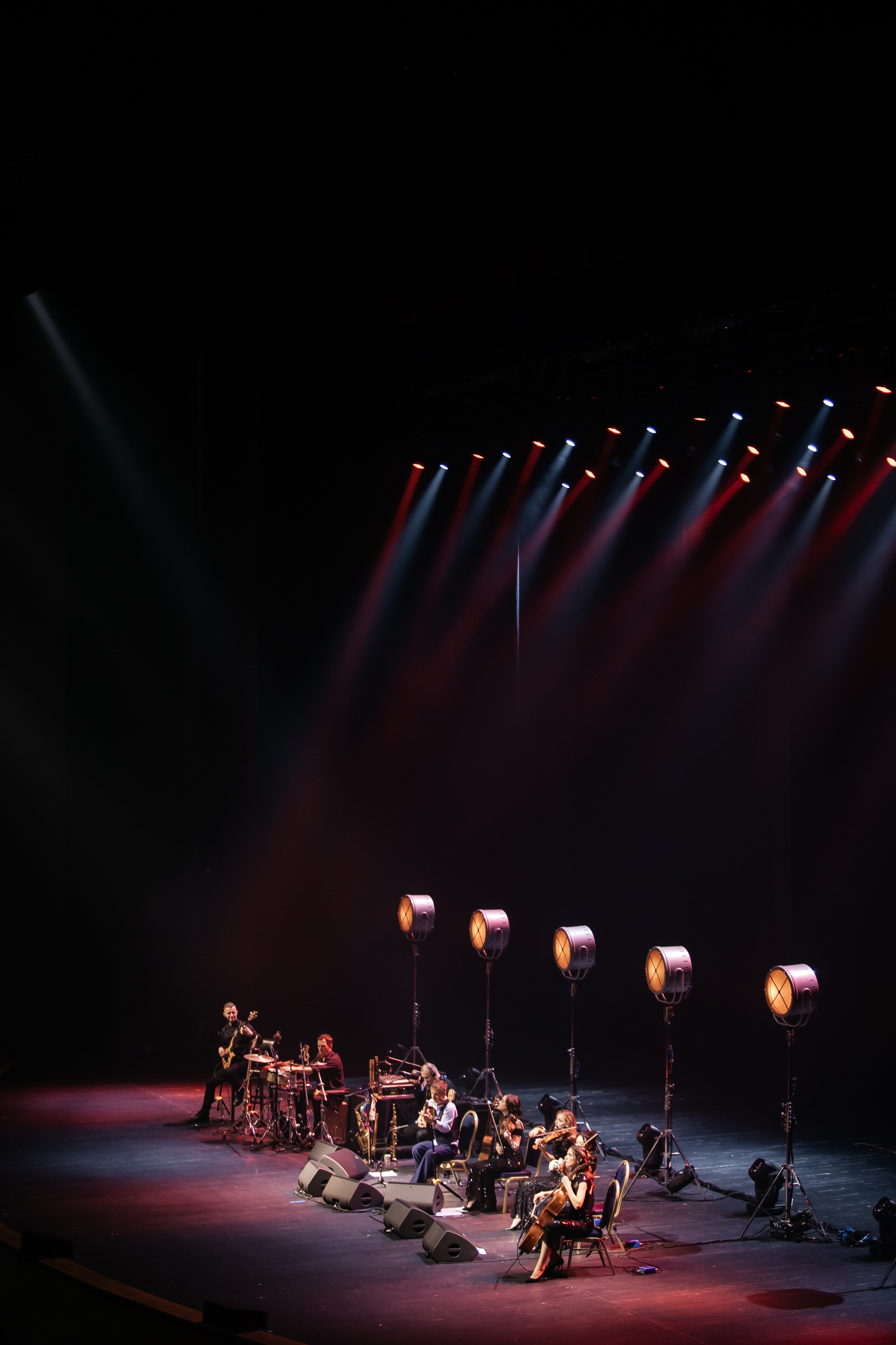 ДИДЮЛЯ. Светский фотограф — Анисина Ирина