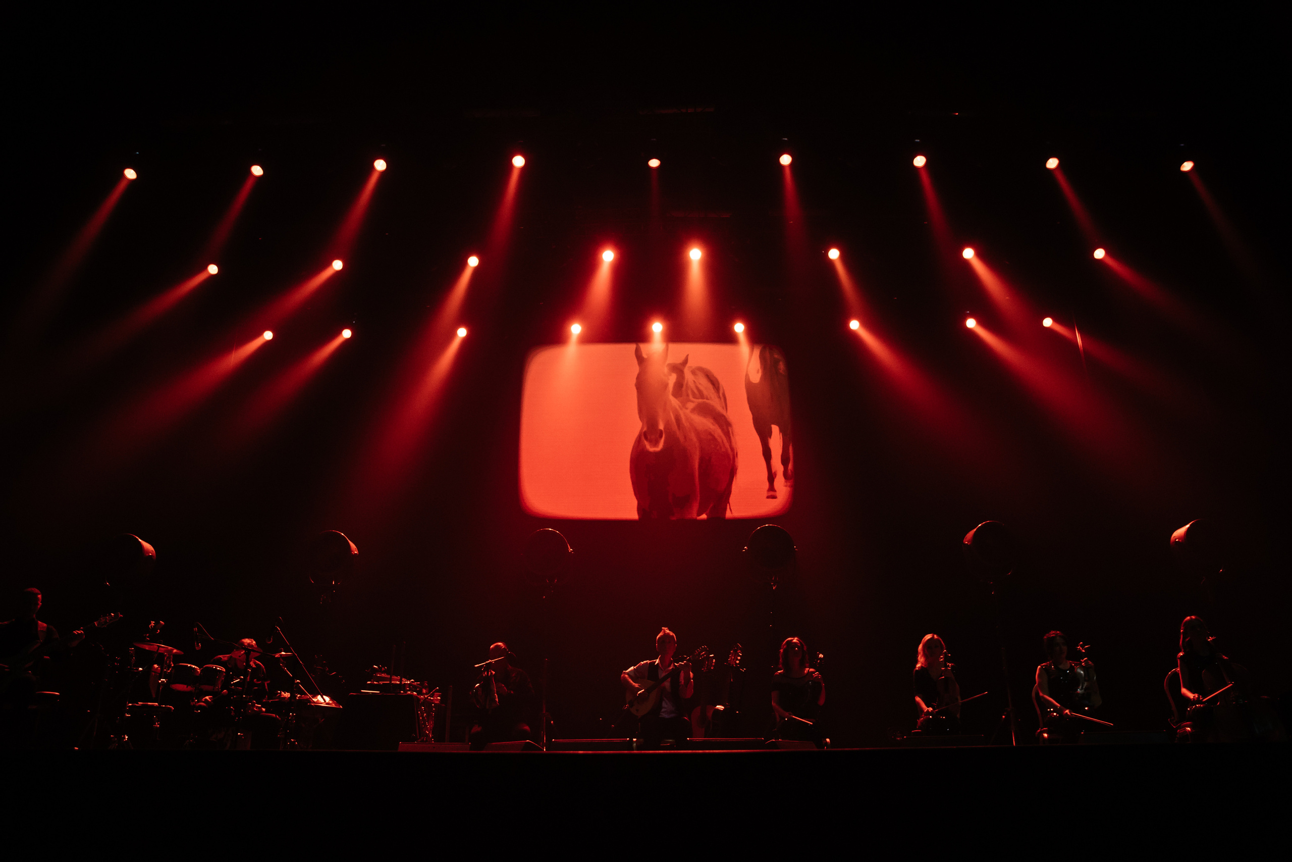 ДИДЮЛЯ. Светский фотограф — Анисина Ирина