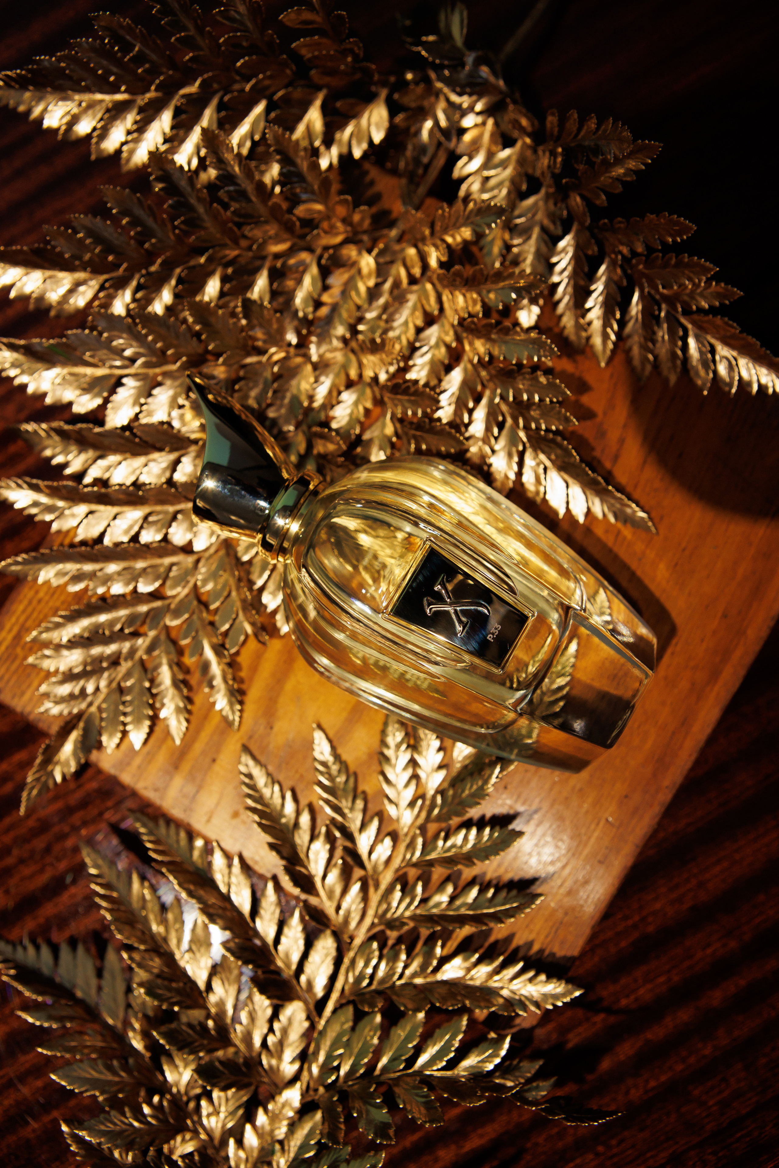 MOLECULE. Светский фотограф — Анисина Ирина