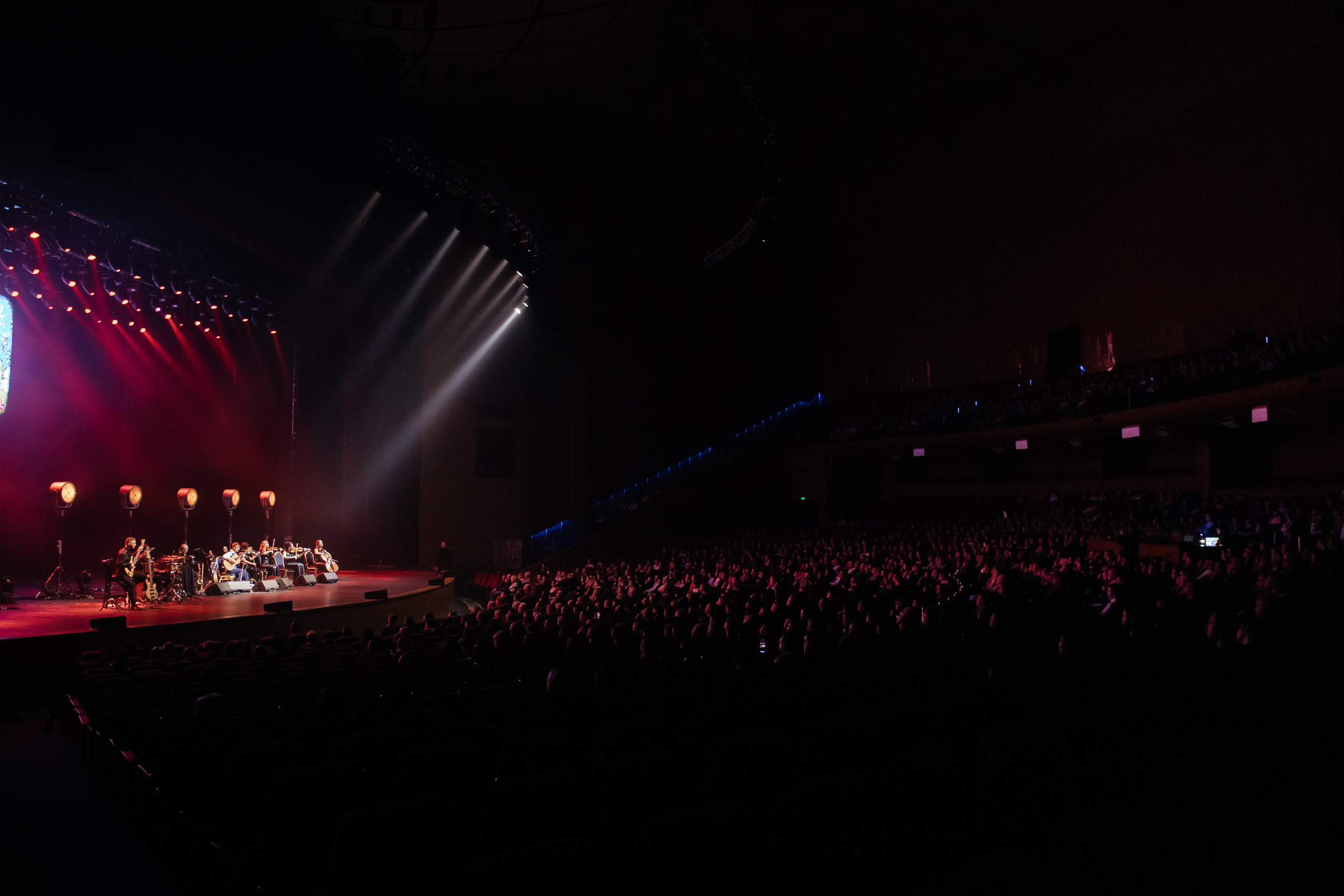 ДИДЮЛЯ. Светский фотограф — Анисина Ирина