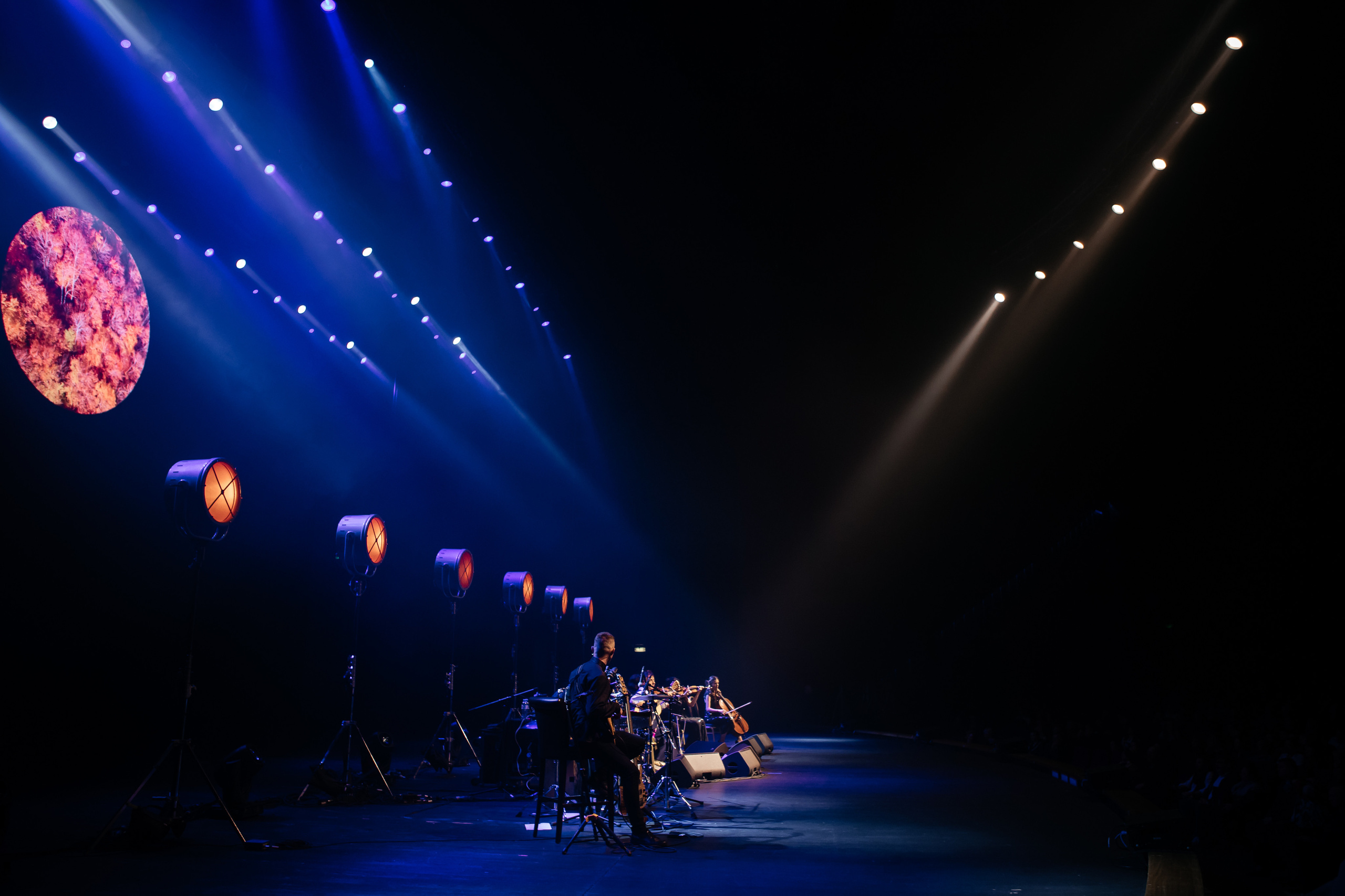 ДИДЮЛЯ. Светский фотограф — Анисина Ирина