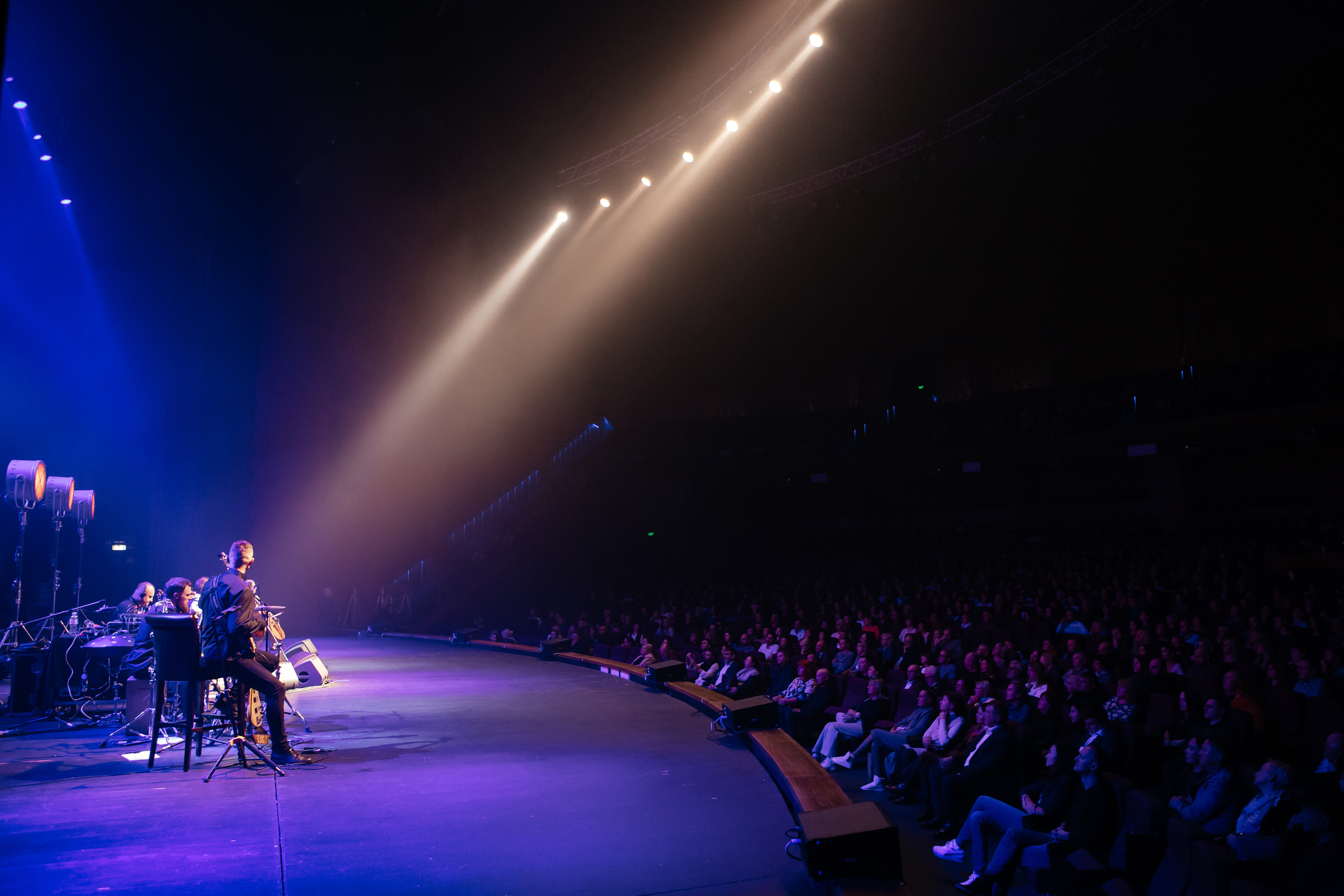 ДИДЮЛЯ. Светский фотограф — Анисина Ирина