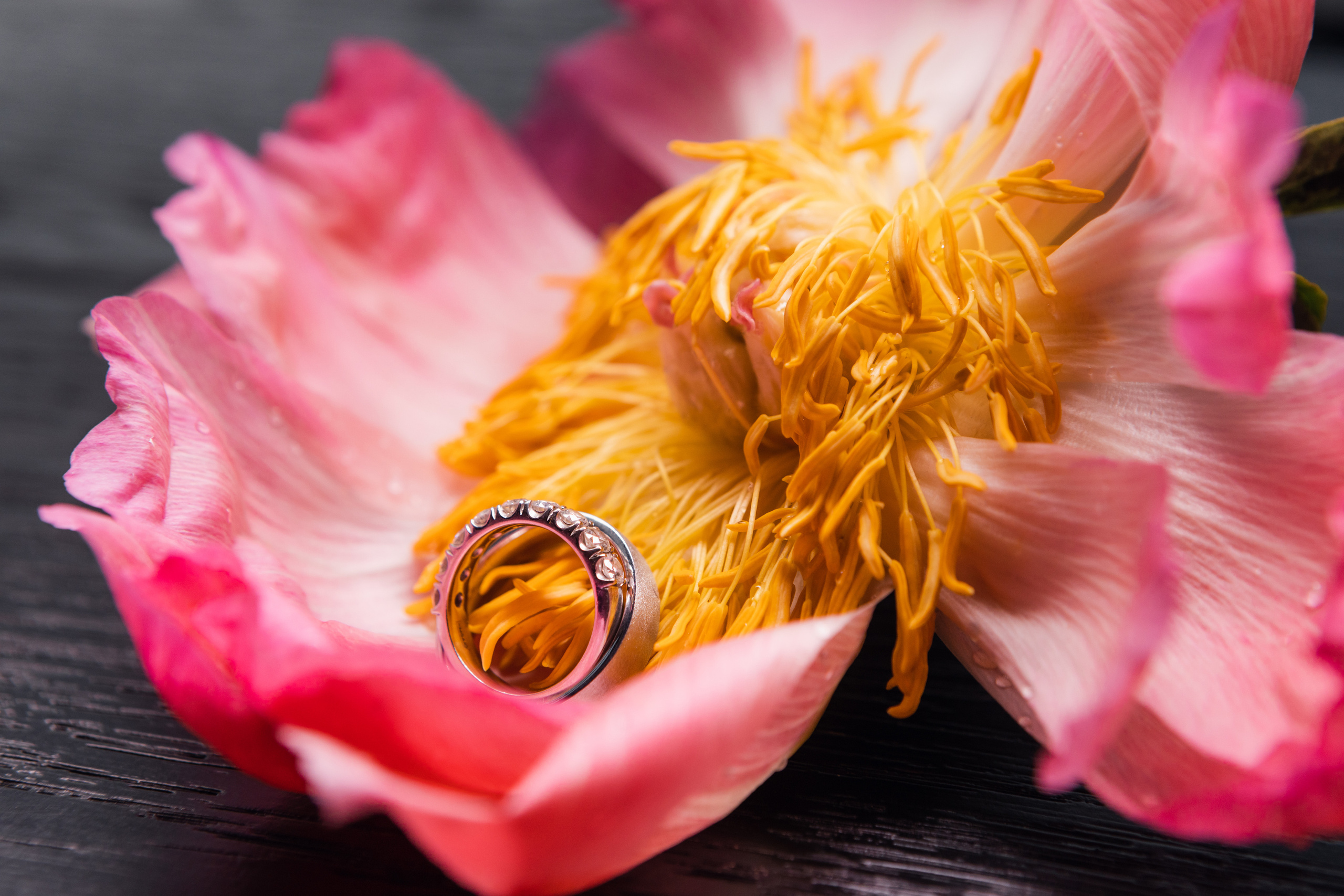 Моменты. Светский фотограф — Анисина Ирина