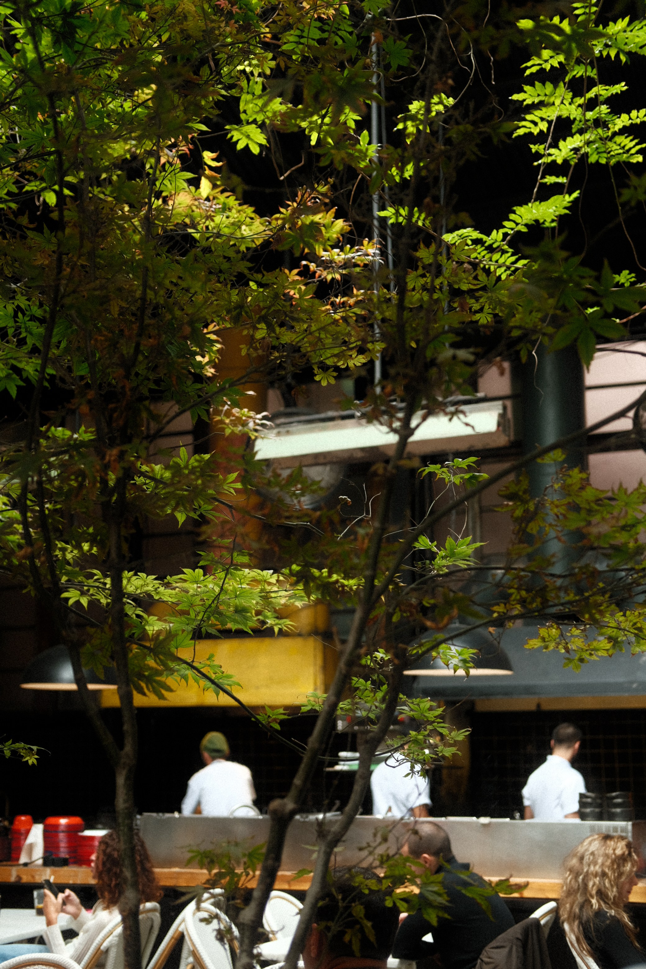 Тбилиси. Фотограф Сергей Красников