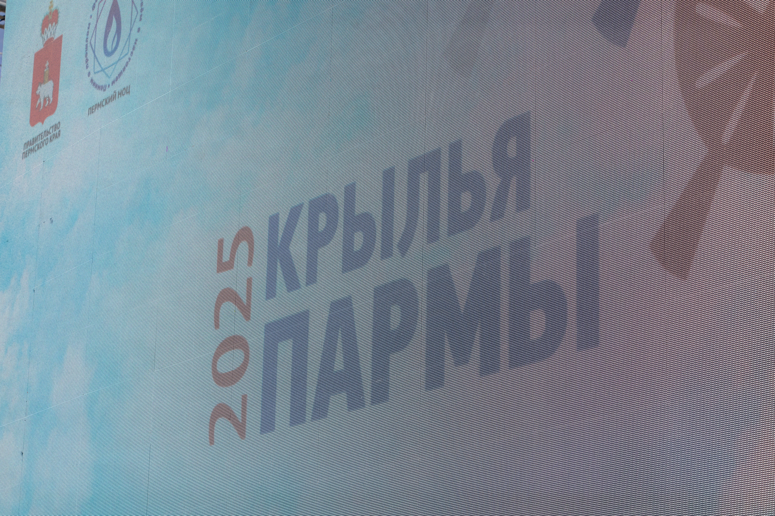 Крылья Пармы 2025 г. KATERINA VINOKUROVA ФОТОГРАФ ПЕРМЬ