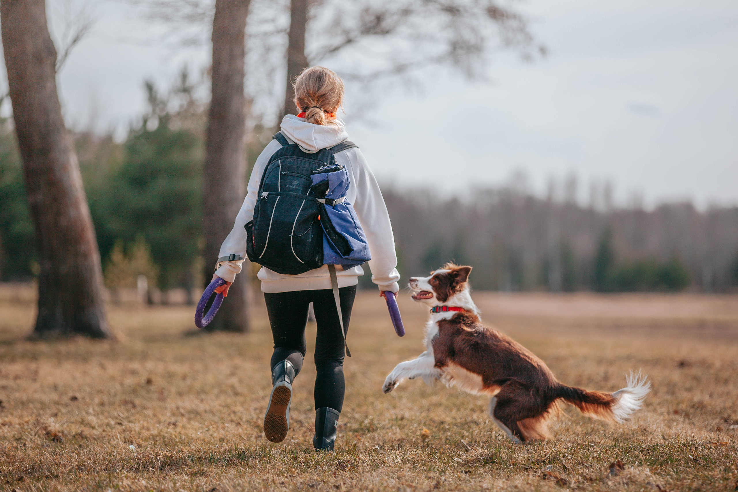 Бордюха, Лора, Берта, Мета. Главная