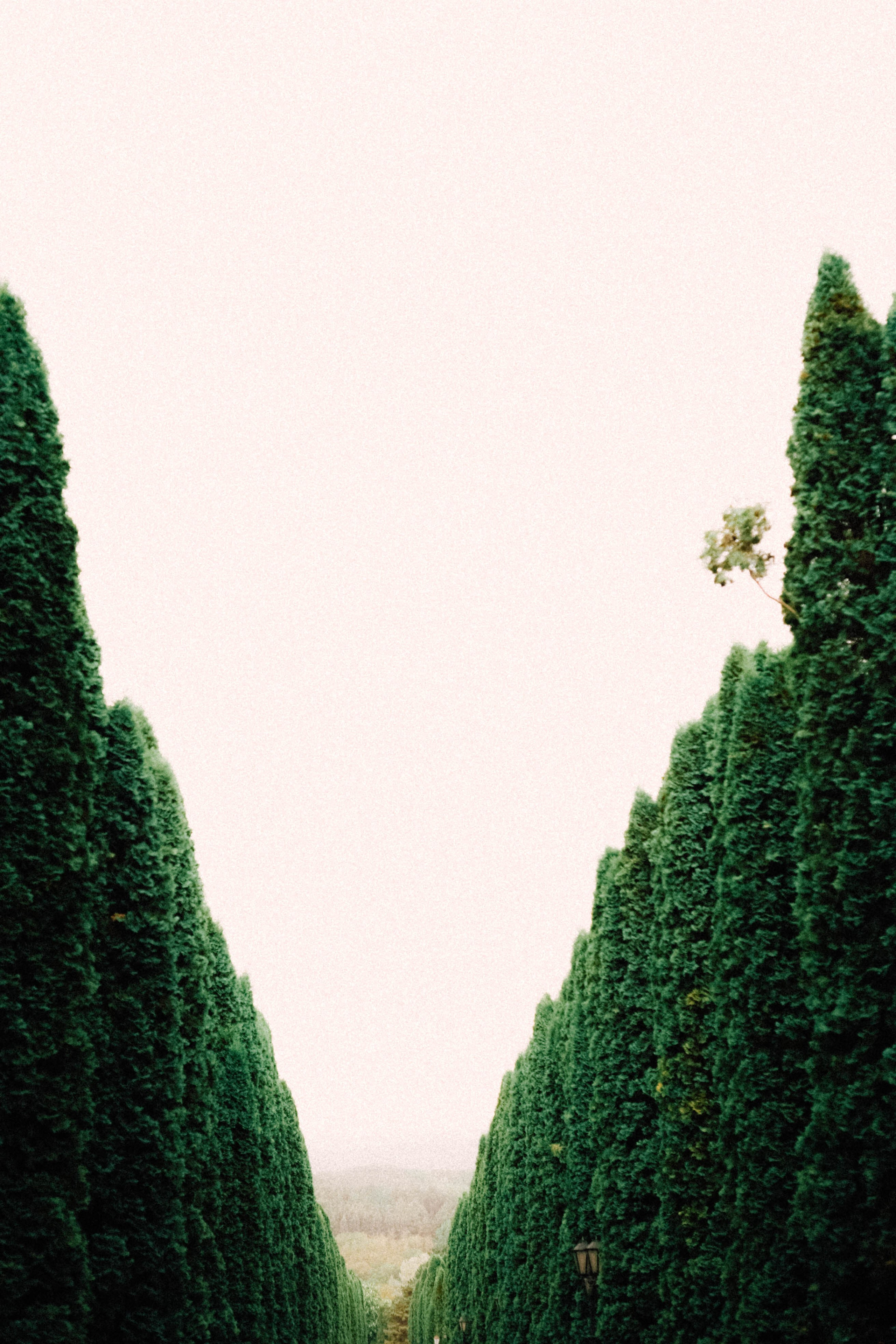 КИСЛОВОДСК. Профессиональный фотограф, Санкт-Петербург — Виктория Богомолова