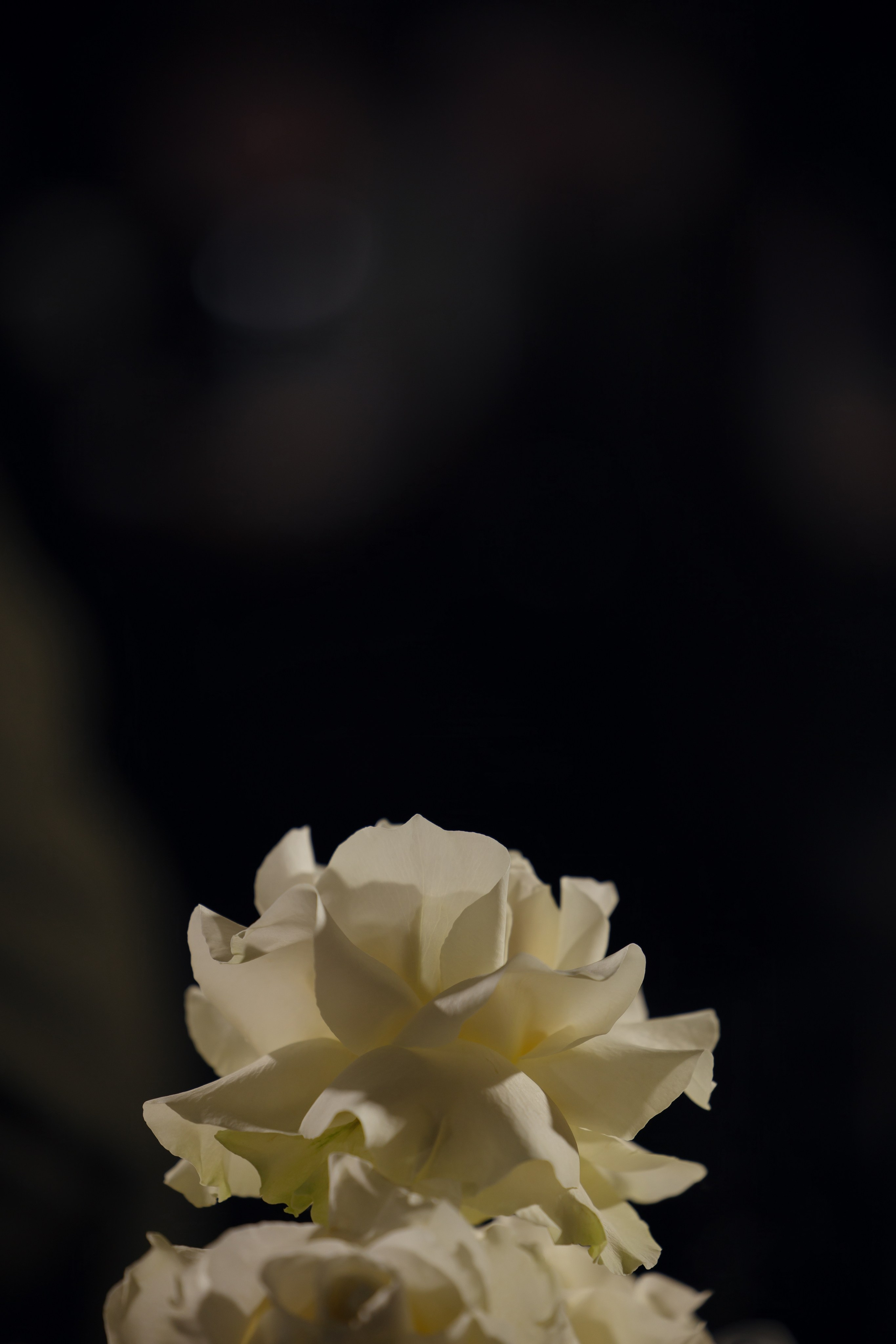 Мы набрали нужную высоту. Фотограф в Нижнем Новгороде| Шоронова Снежана