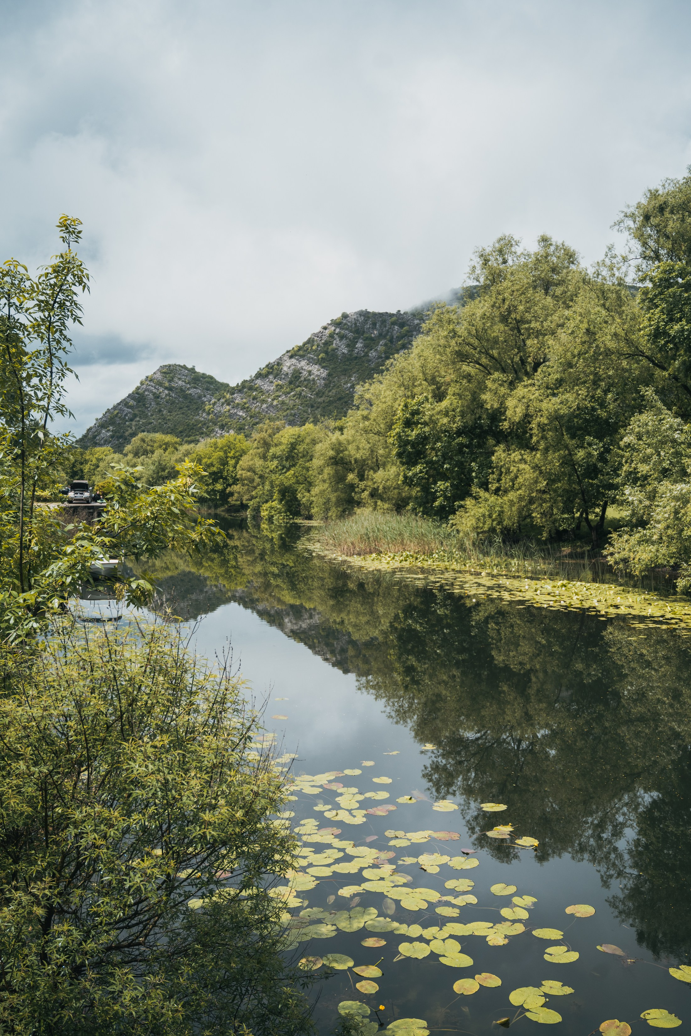 СКАДАРСКОЕ ОЗЕРО. ЧЕРНОГОРИЯ. Фотограф в Белграде Чугреева Елена
