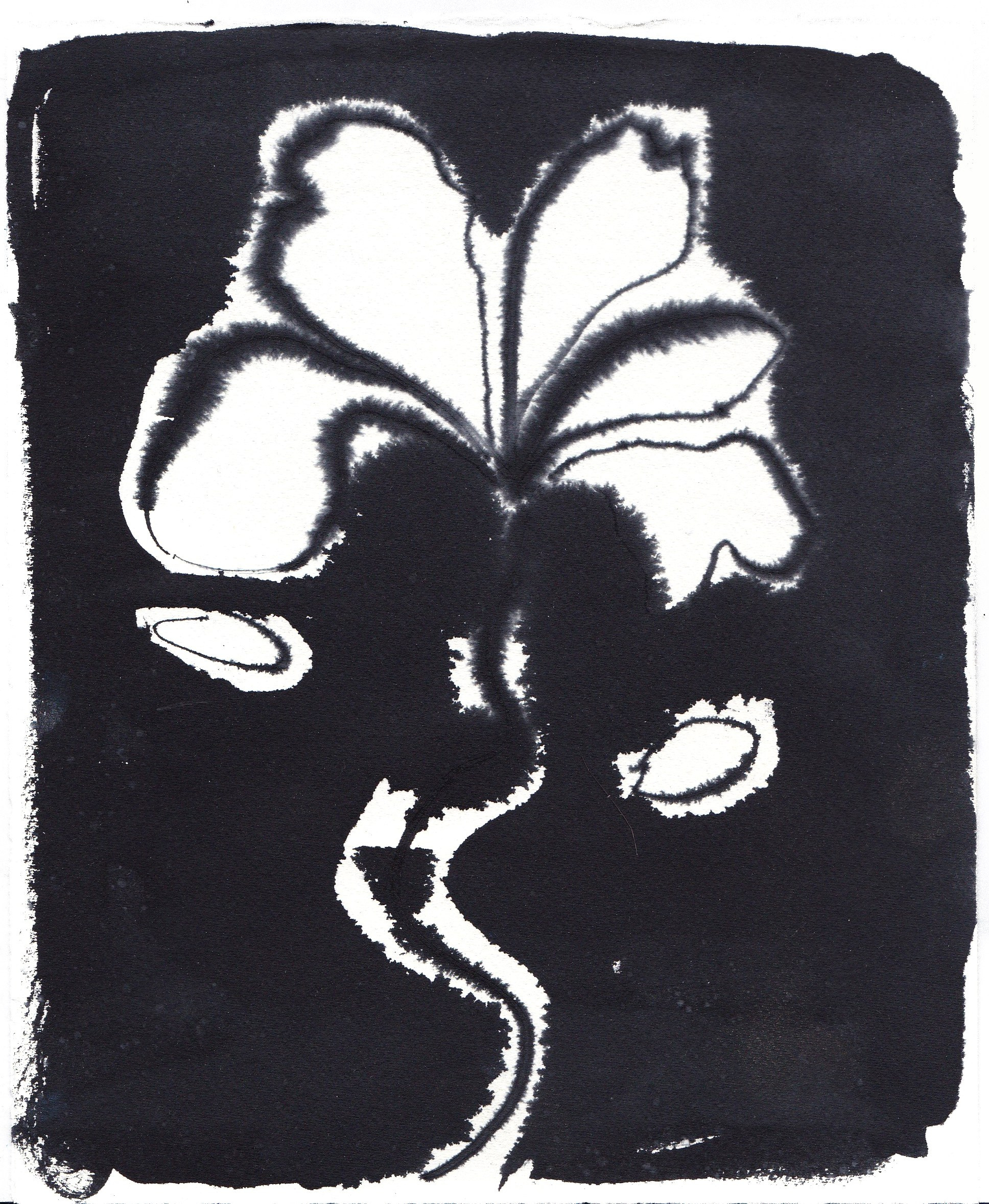 Ink Drawings. Portfolio Birdcrush