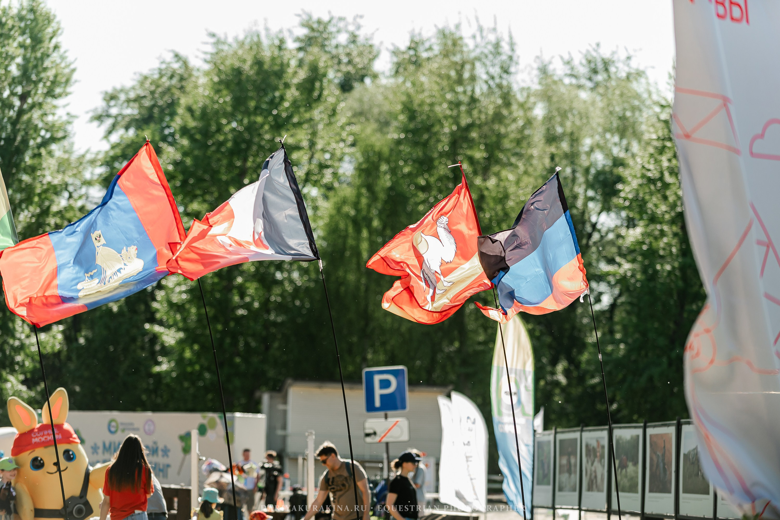 #ПОНИФОРУМ 2024. Конный фотограф Куракина Дарья • Фотосессии с лошадьми