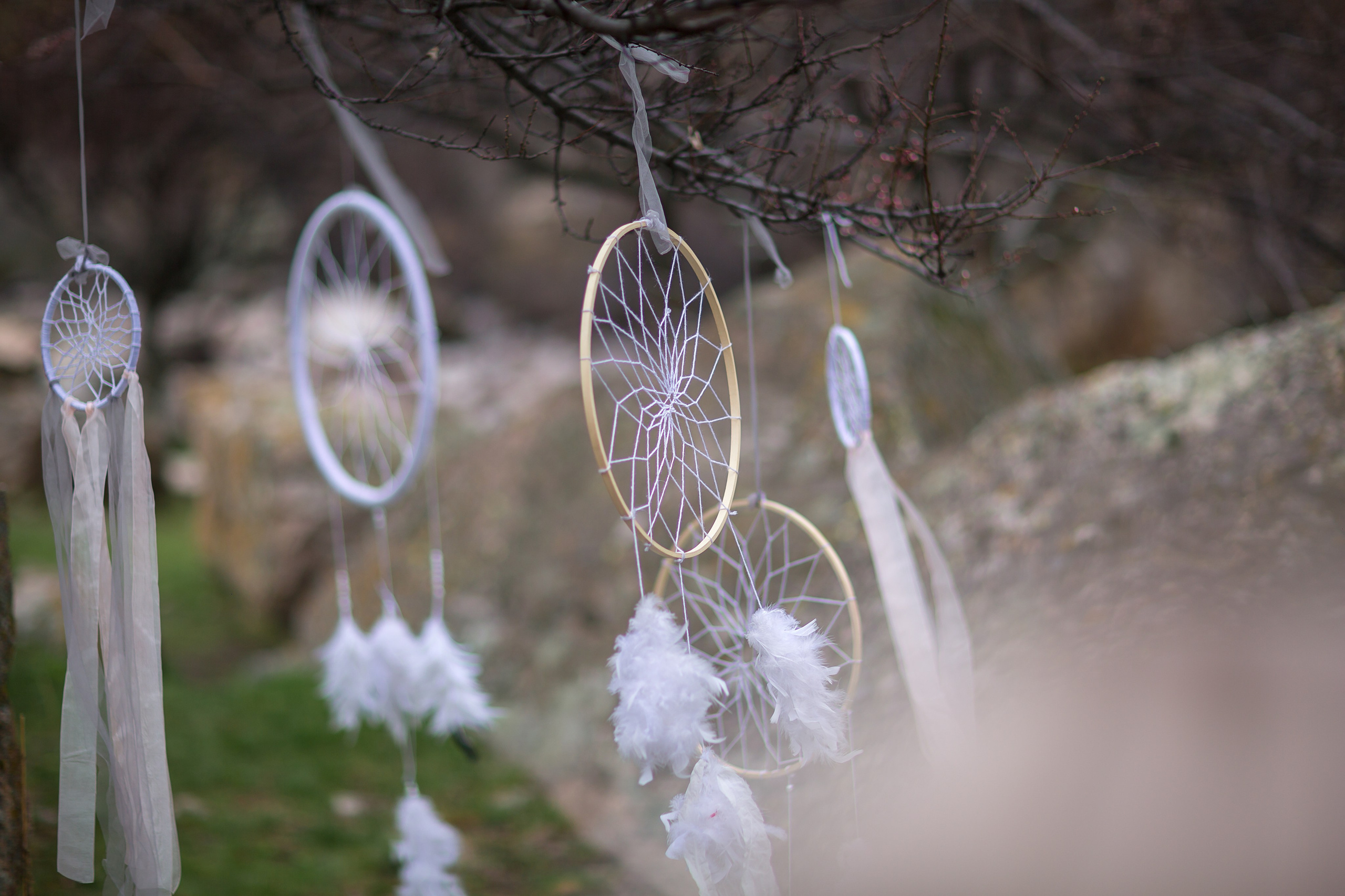 Свадебная фотосессия в Калининграде. Https://malovafoto.ru