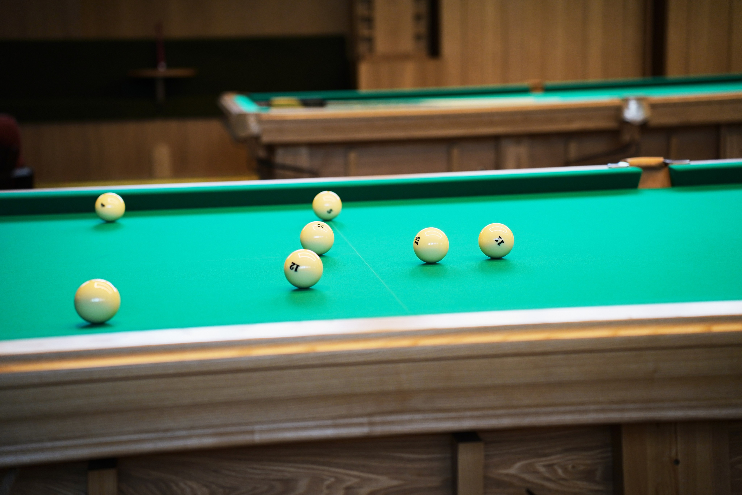 Бильярд Родина. Фотограф