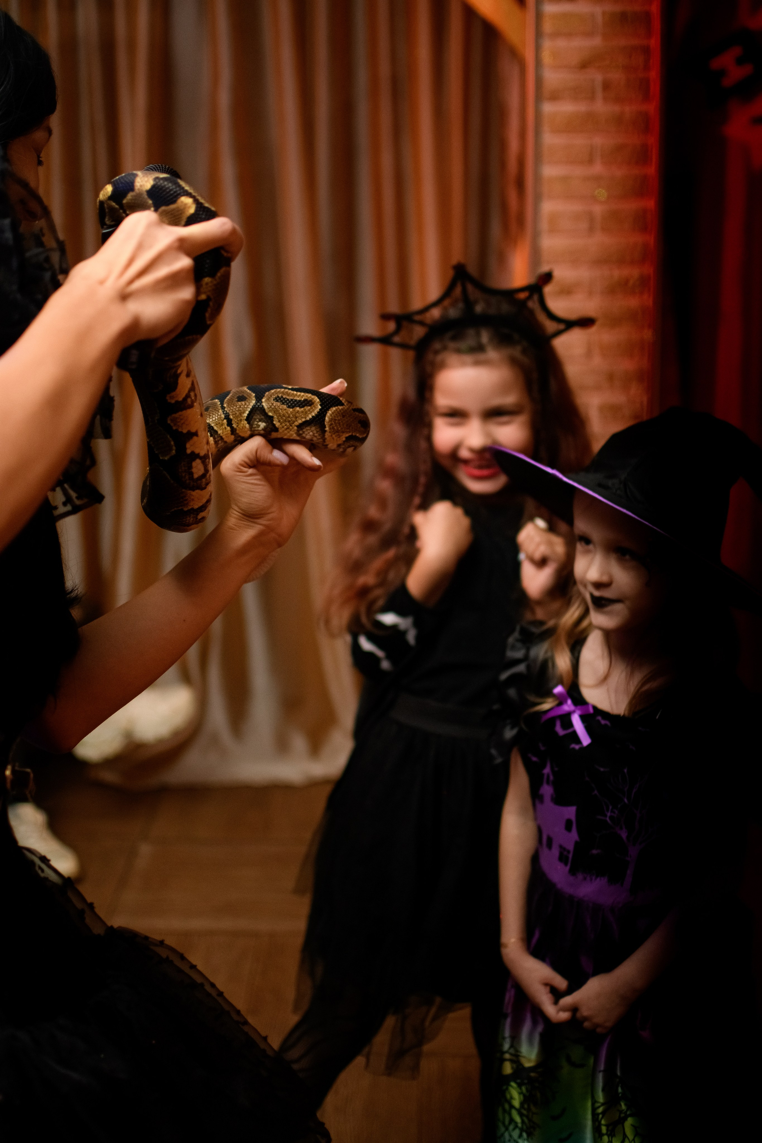 HALLOWEEN. Photokarish