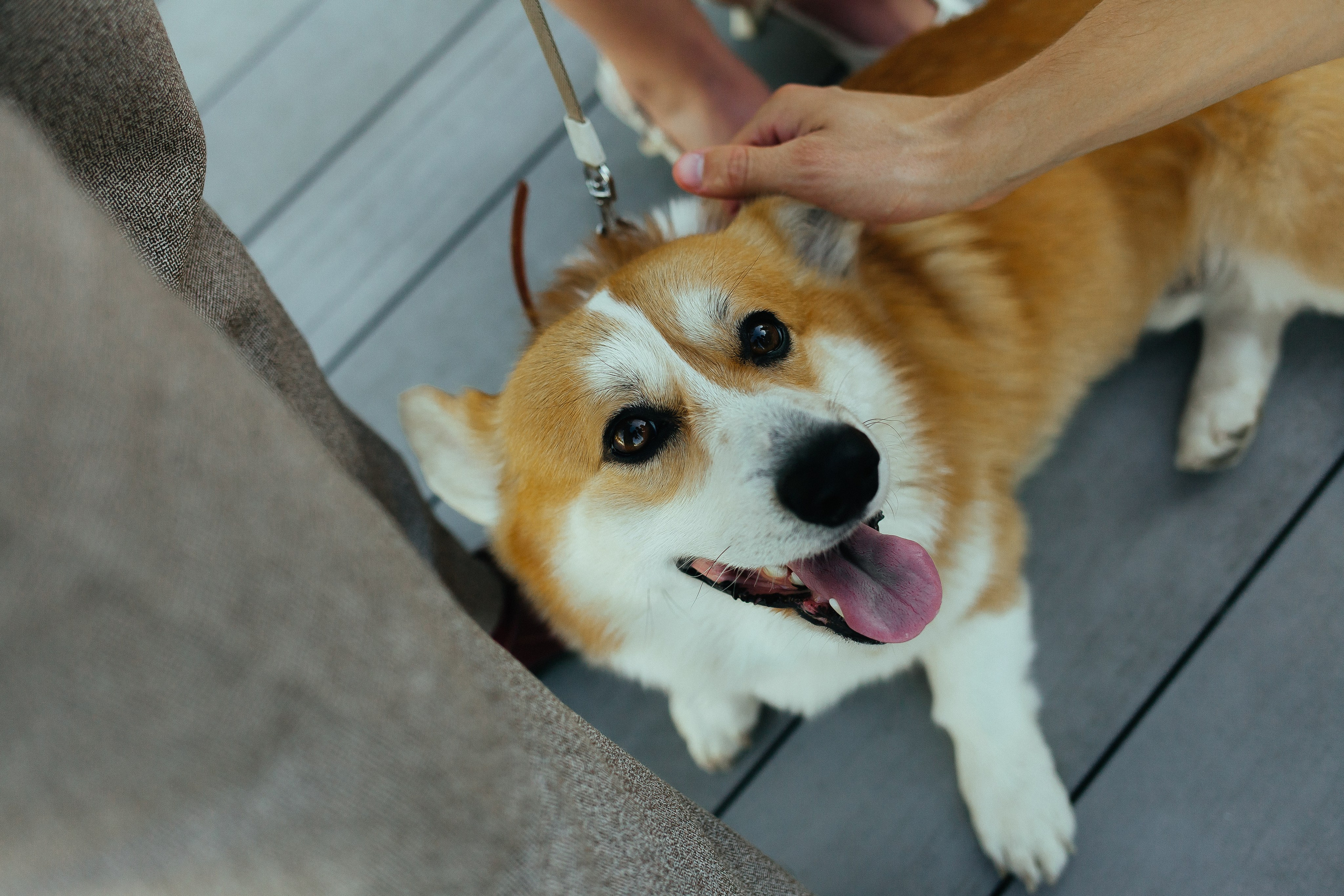 D & D. Фотограф Ольга Сапронова. Свадебный фотограф Ольга Сапронова