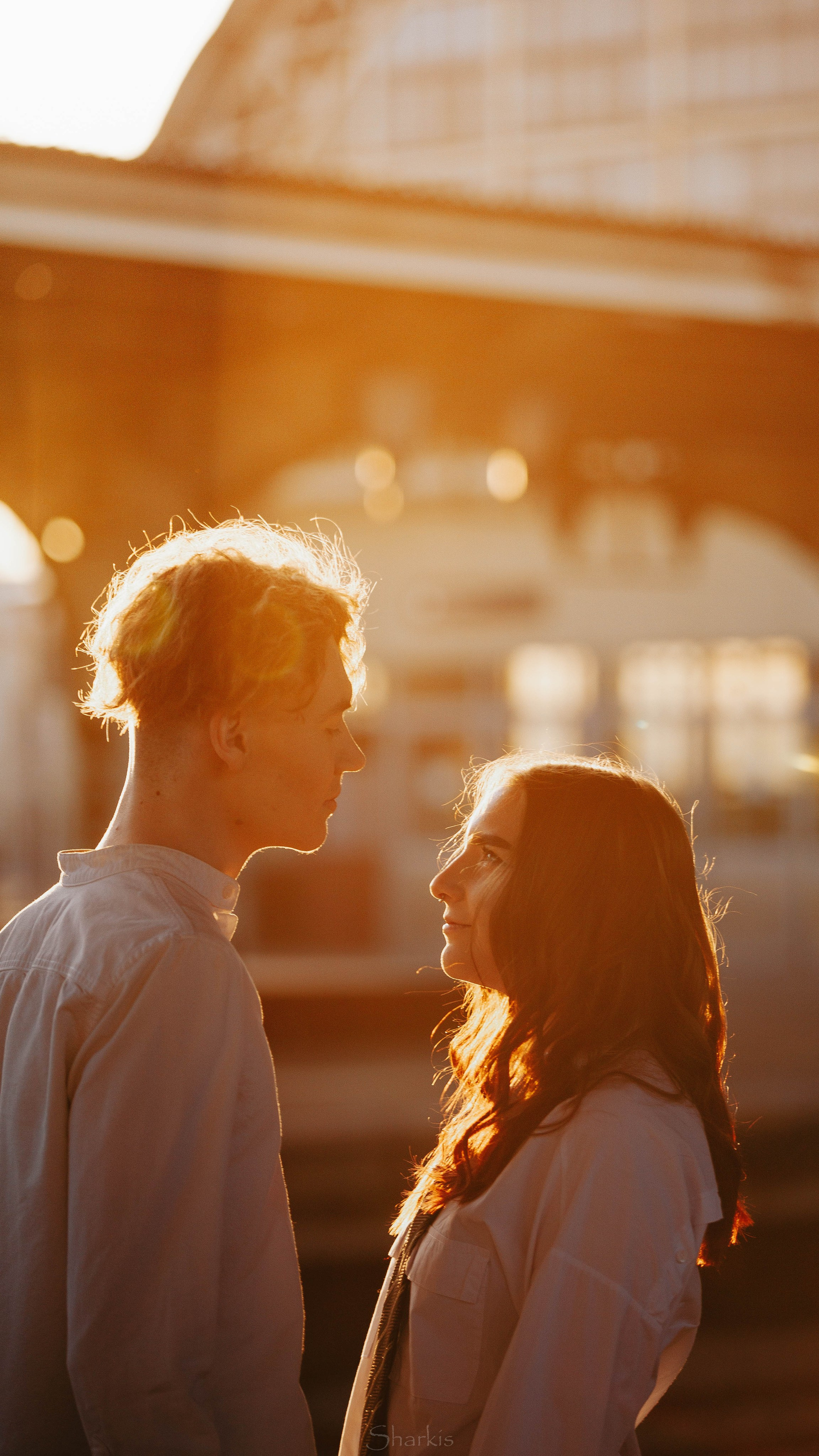 Лев и Вероника. Главная