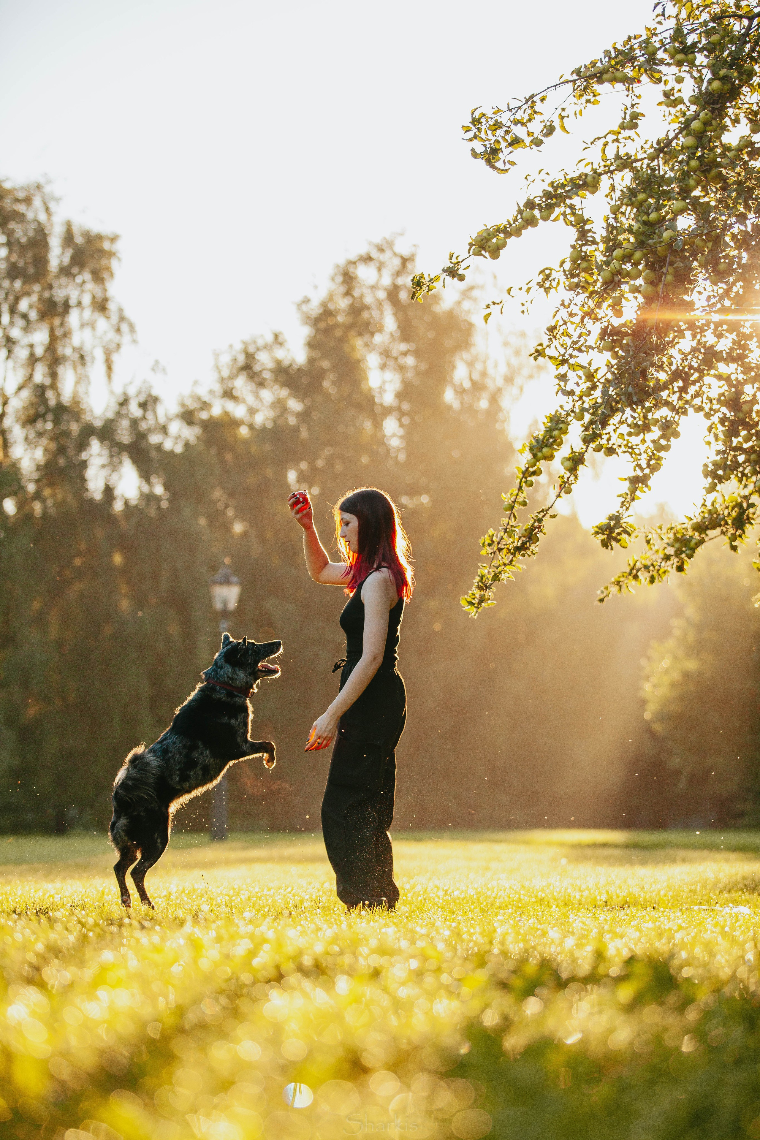 Вега и Гриша. Главная