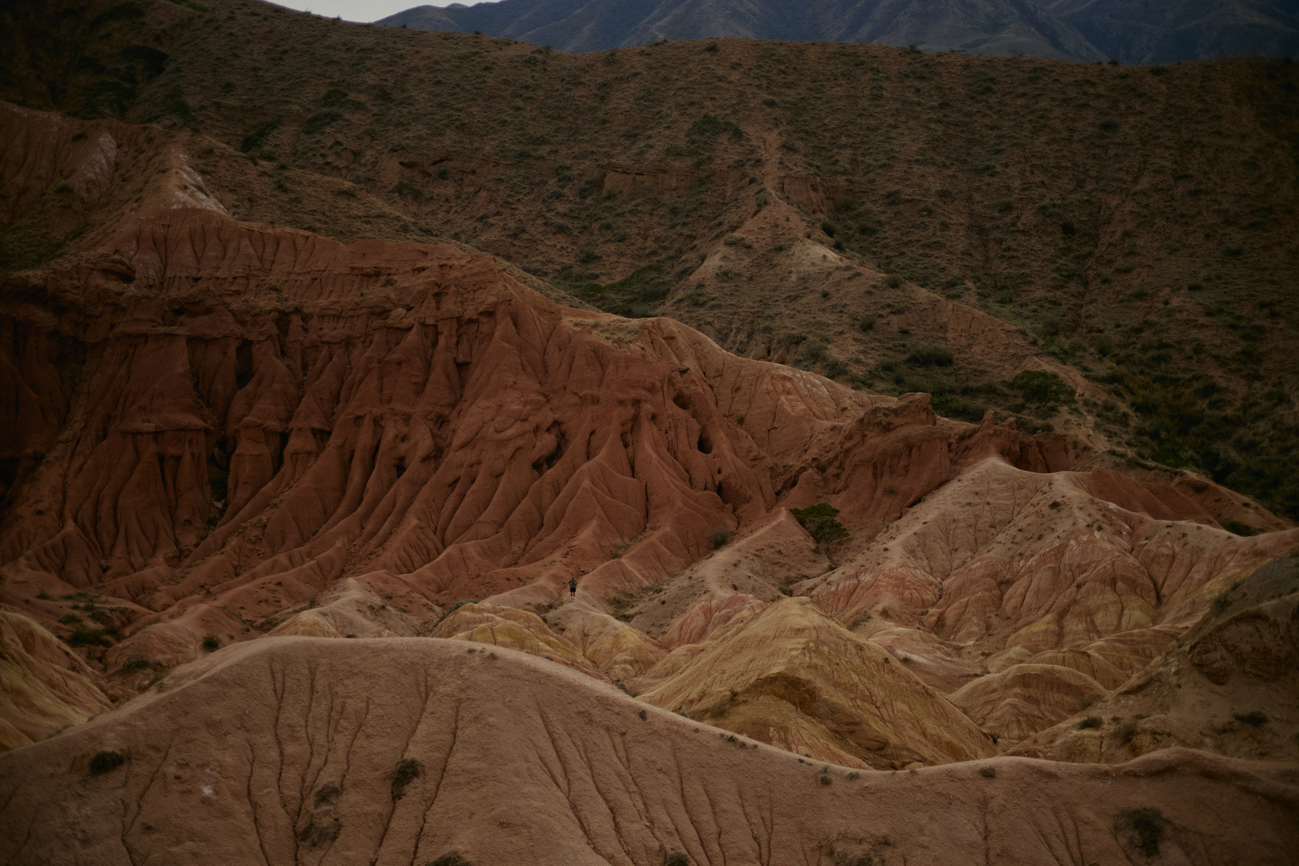 Кыргызтан. Профессиональный Фотограф во Владимире, в Москве и в Суздале — Полина Романычева