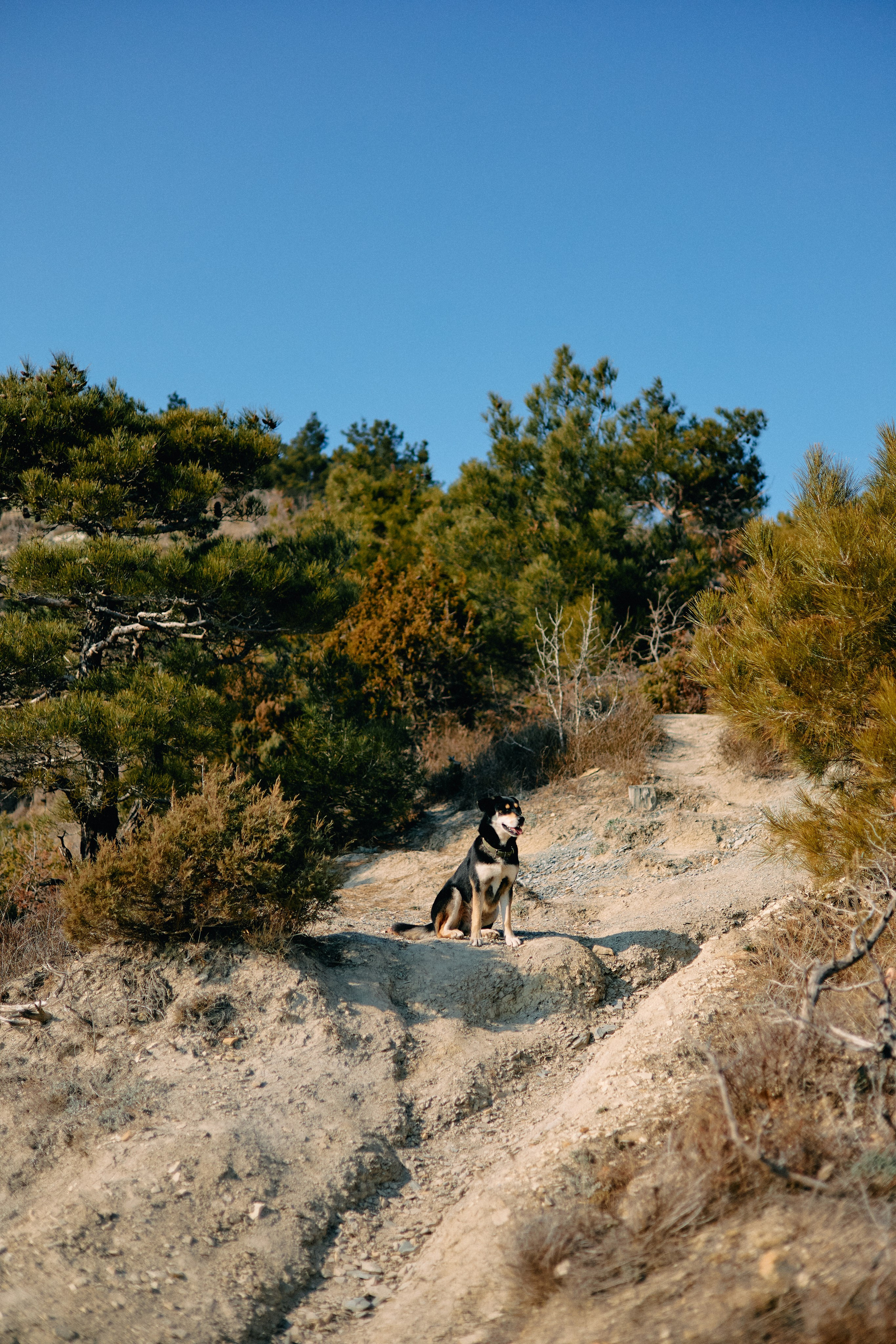 Юг России. Профессиональный Фотограф во Владимире, в Москве и в Суздале — Полина Романычева
