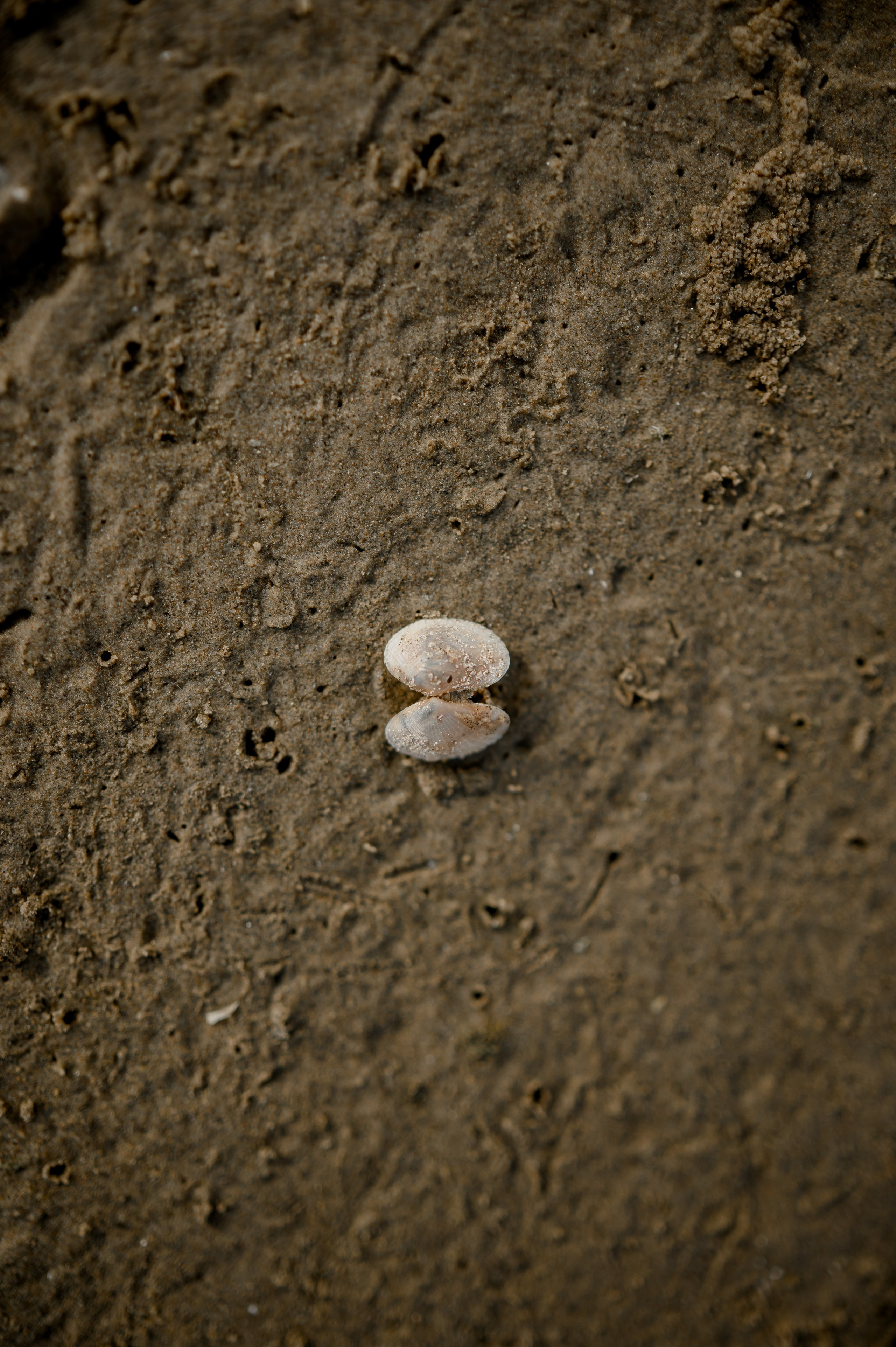 Nata&Andrew. Свадебный фотограф в Астрахани и Москве