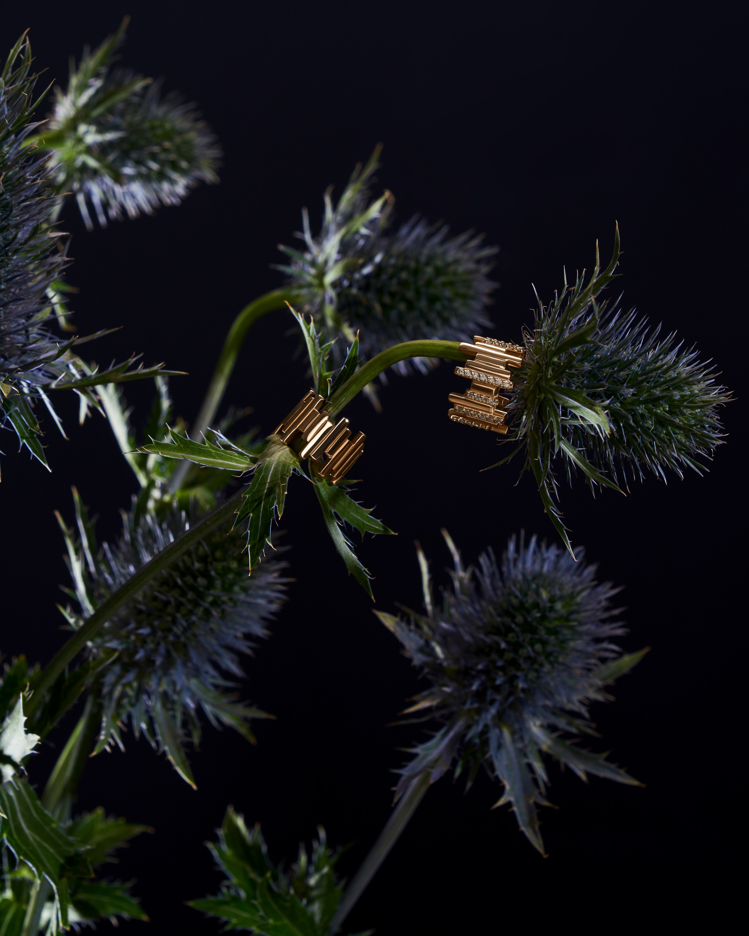 Jewelry. Retoucher Natali Krasulina / Retouch photo