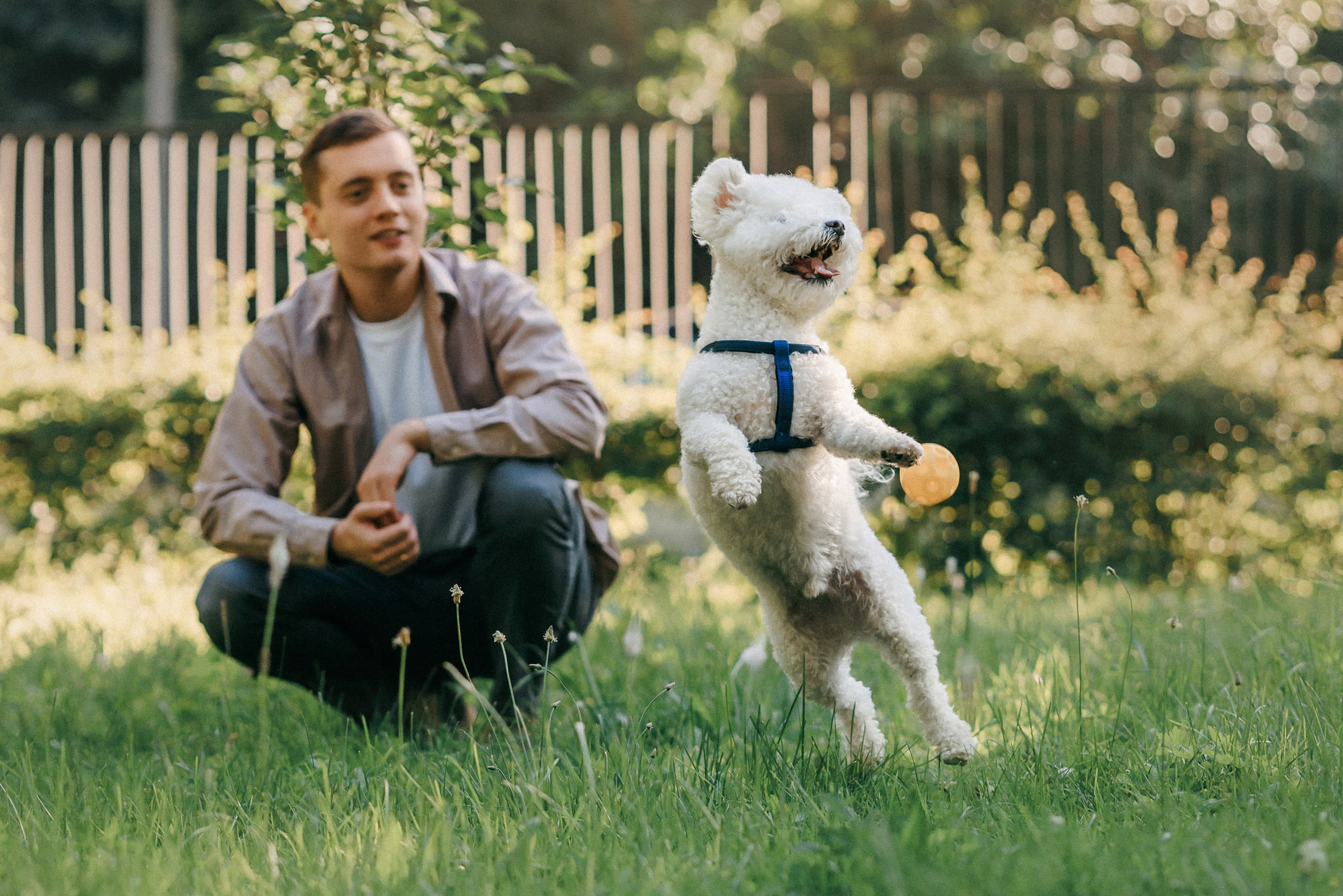 Марина, Данил и Бруно. Фотограф-анималист Елена Радченко, Москва