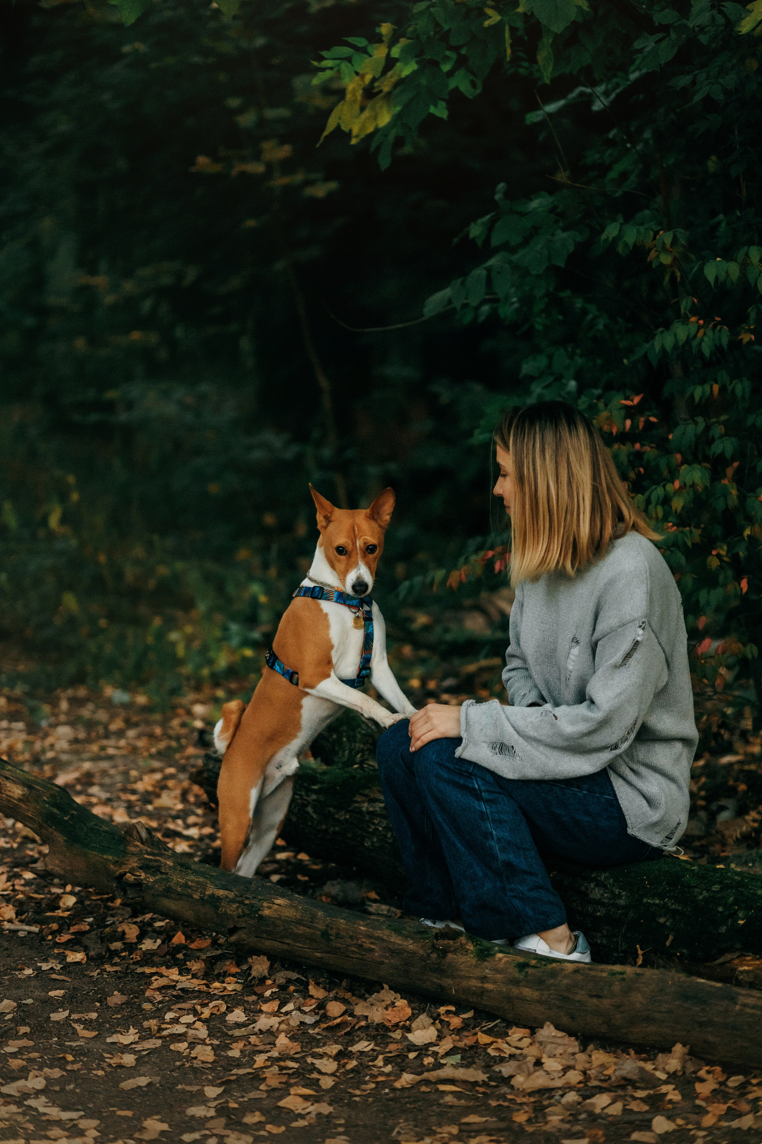 Лена и Джин. Фотограф-анималист Елена Радченко, Москва