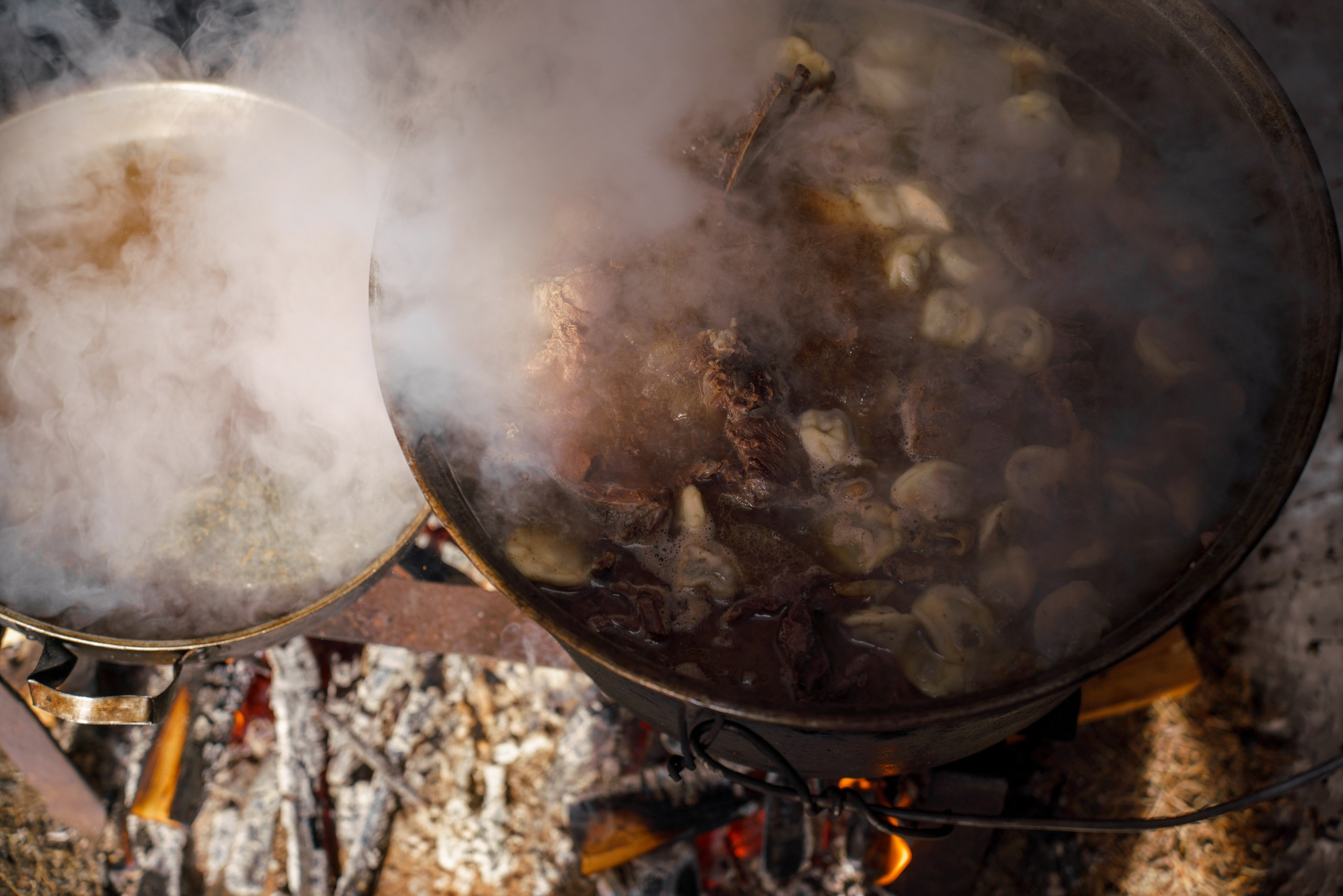 В олене жизнь. Фотограф в Красноярске Нерозя Александр. Пейзаж, природа, портрет