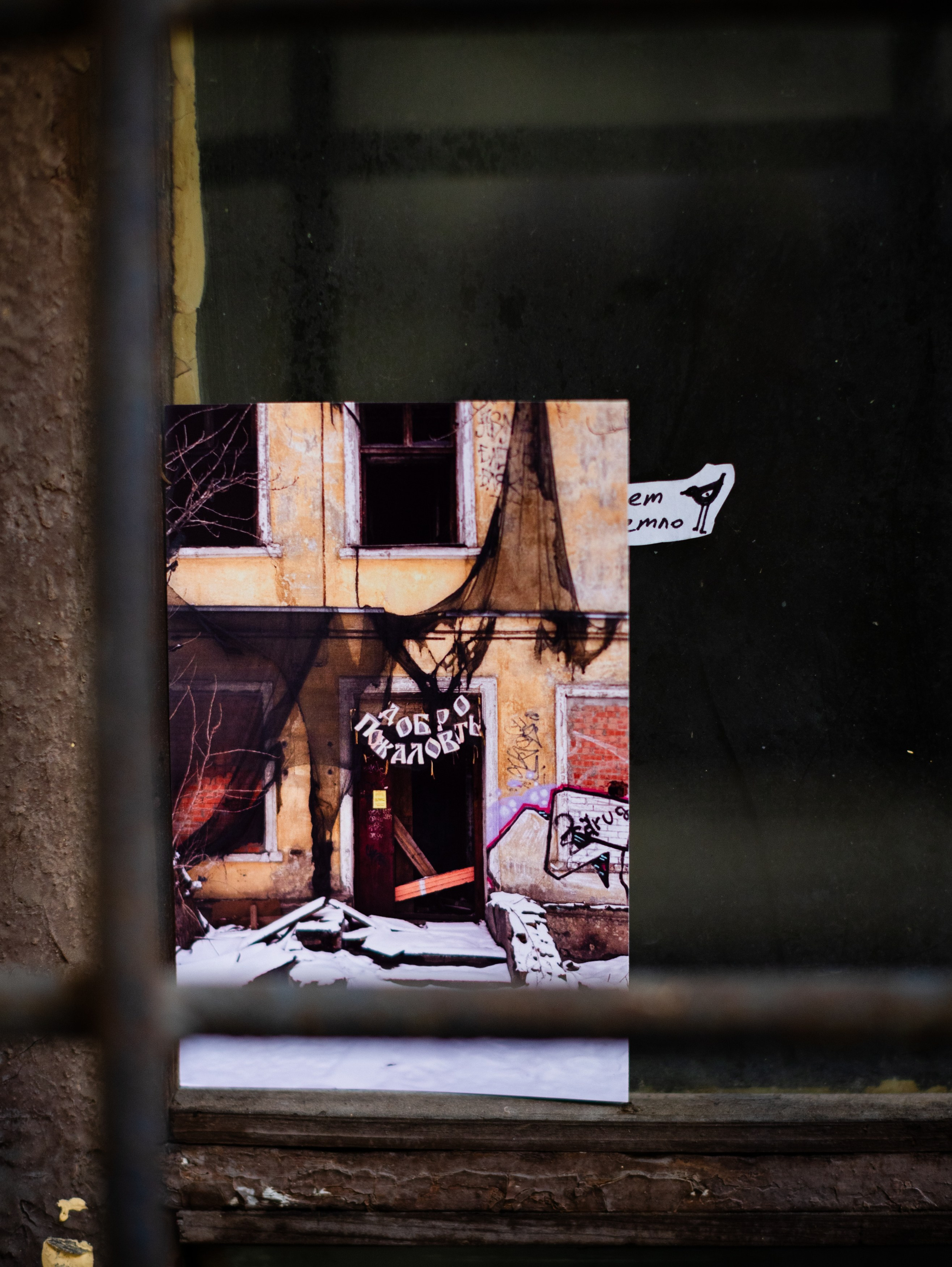 Выставка Ирины Иониной 2024. Фотограф Мария Немм