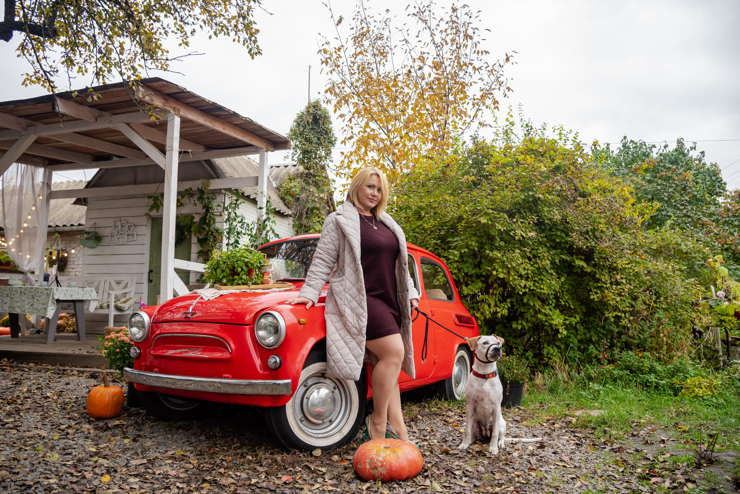 Авакадо. Фотограф Галина Нестерова