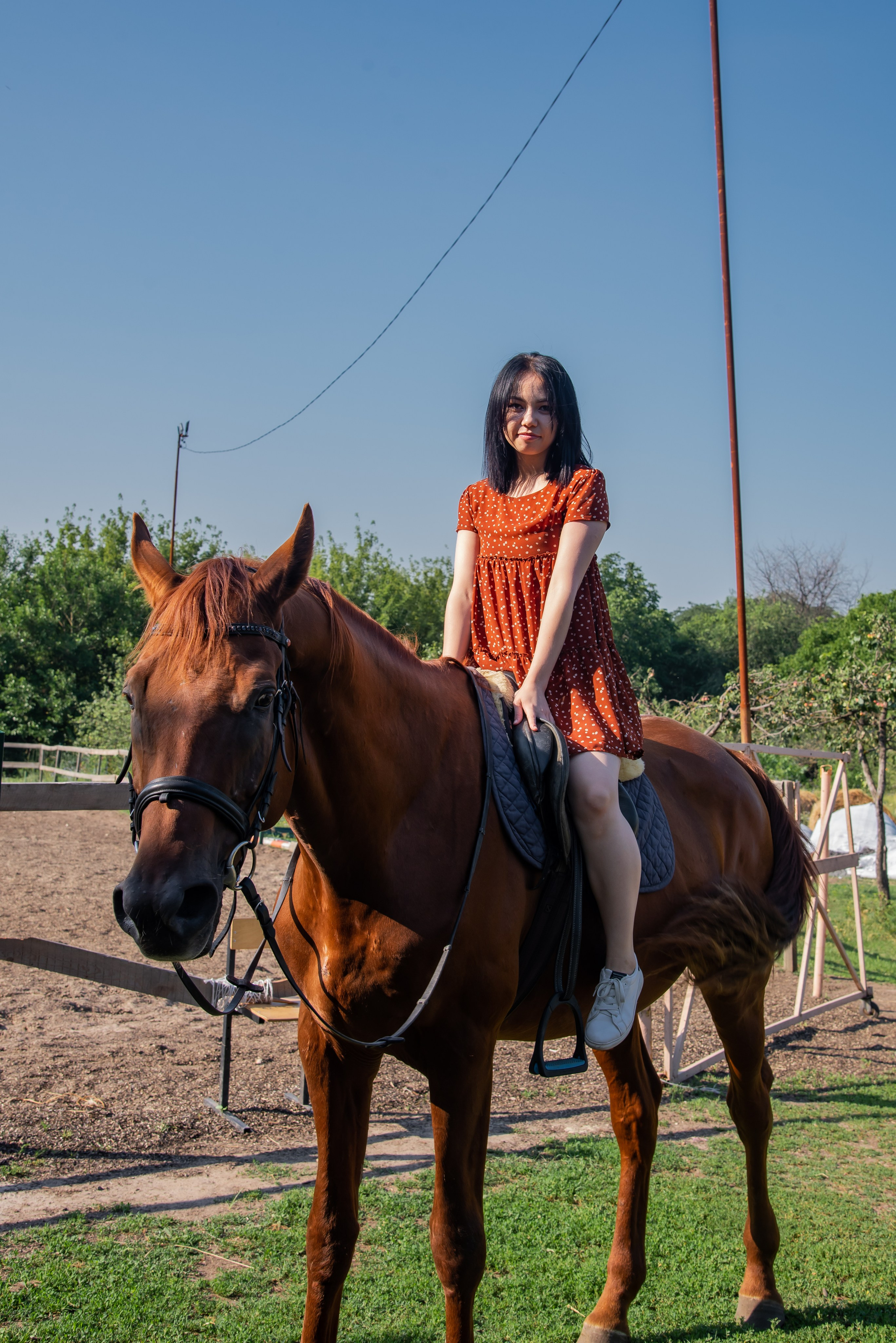 Конная прогулка. Фотограф Галина Нестерова