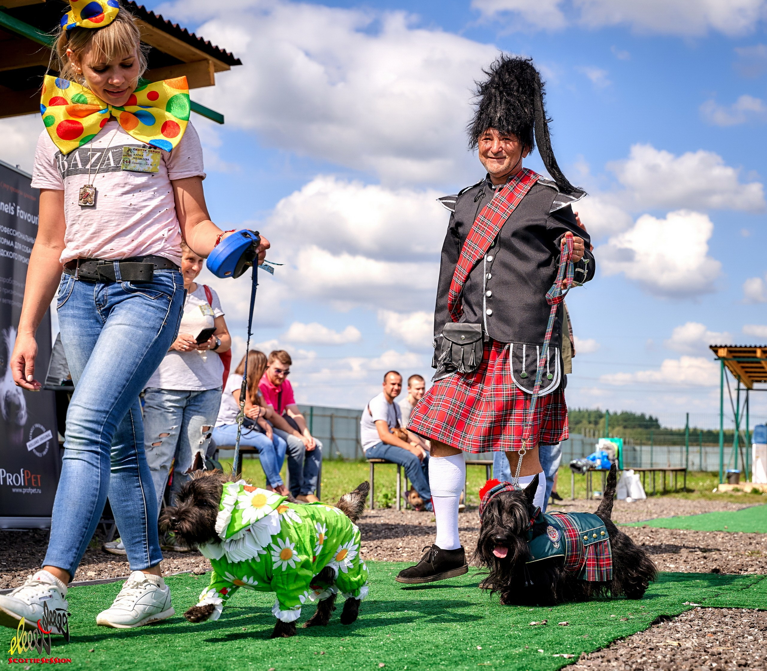 Мероприятия с собаками — галерея NATRIEL