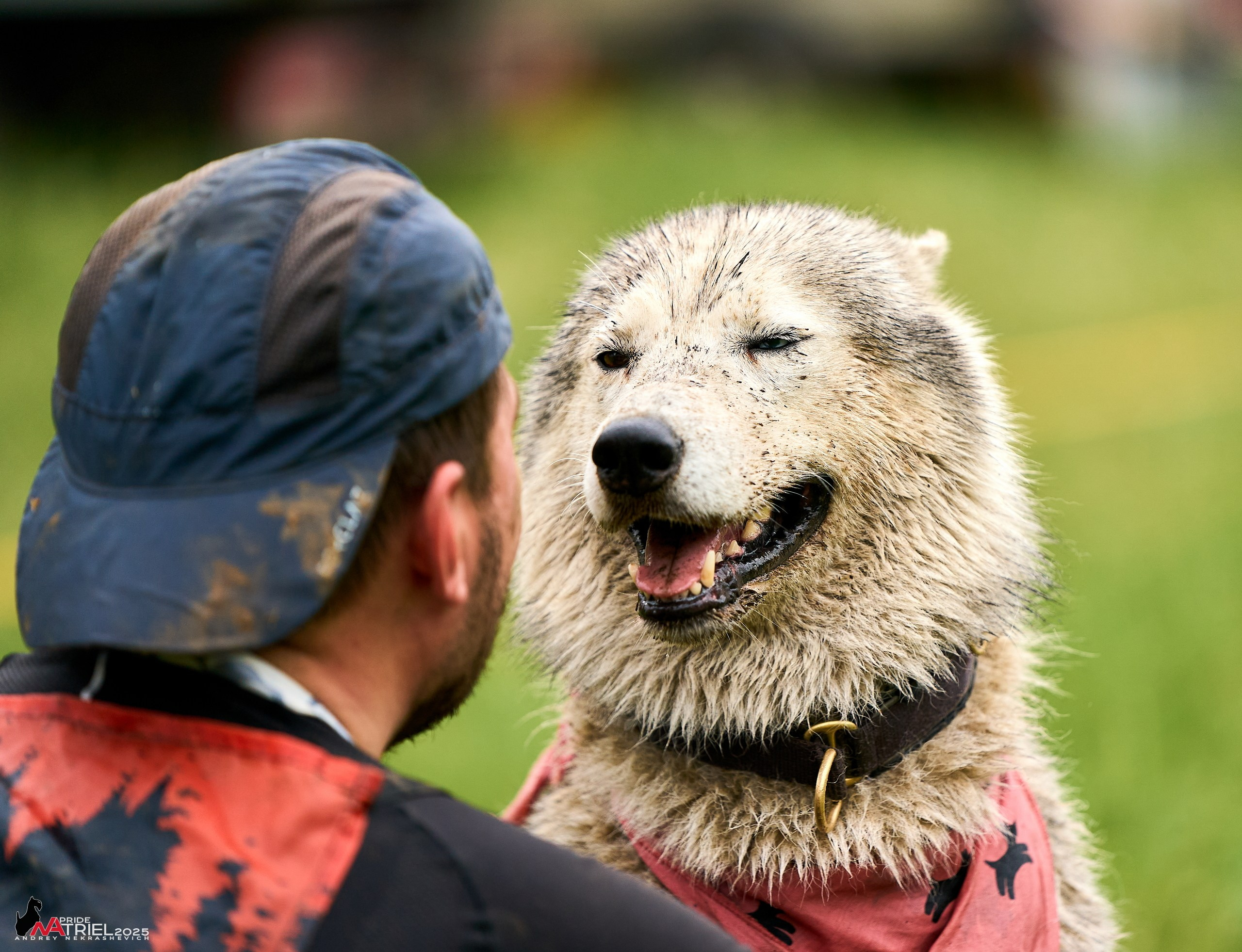 Russian Extreme Dog Trail — 2025