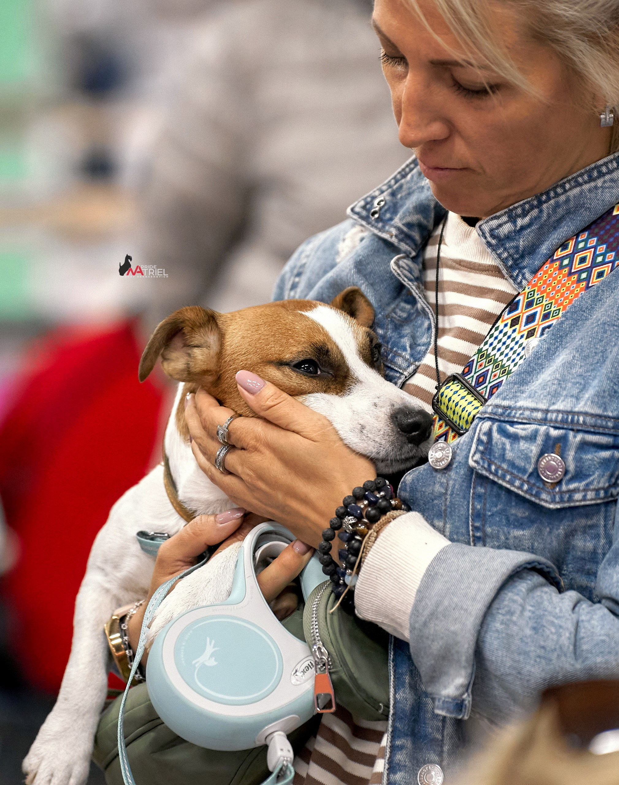 Собаки и Люди — галерея NATRIEL