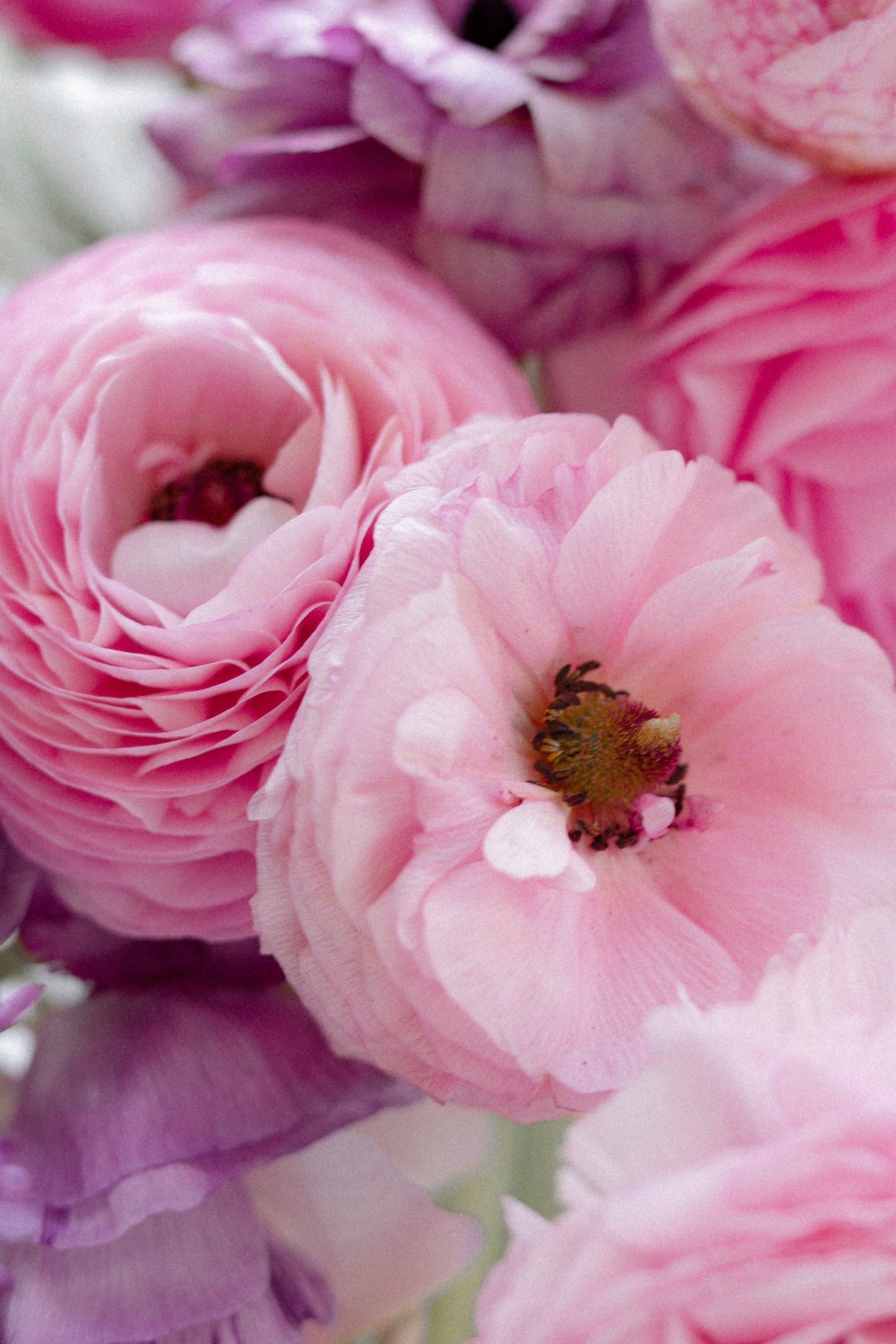 EASTER MOOD. Свадебный и семейный фотограф в Краснодаре и Краснодарском крае