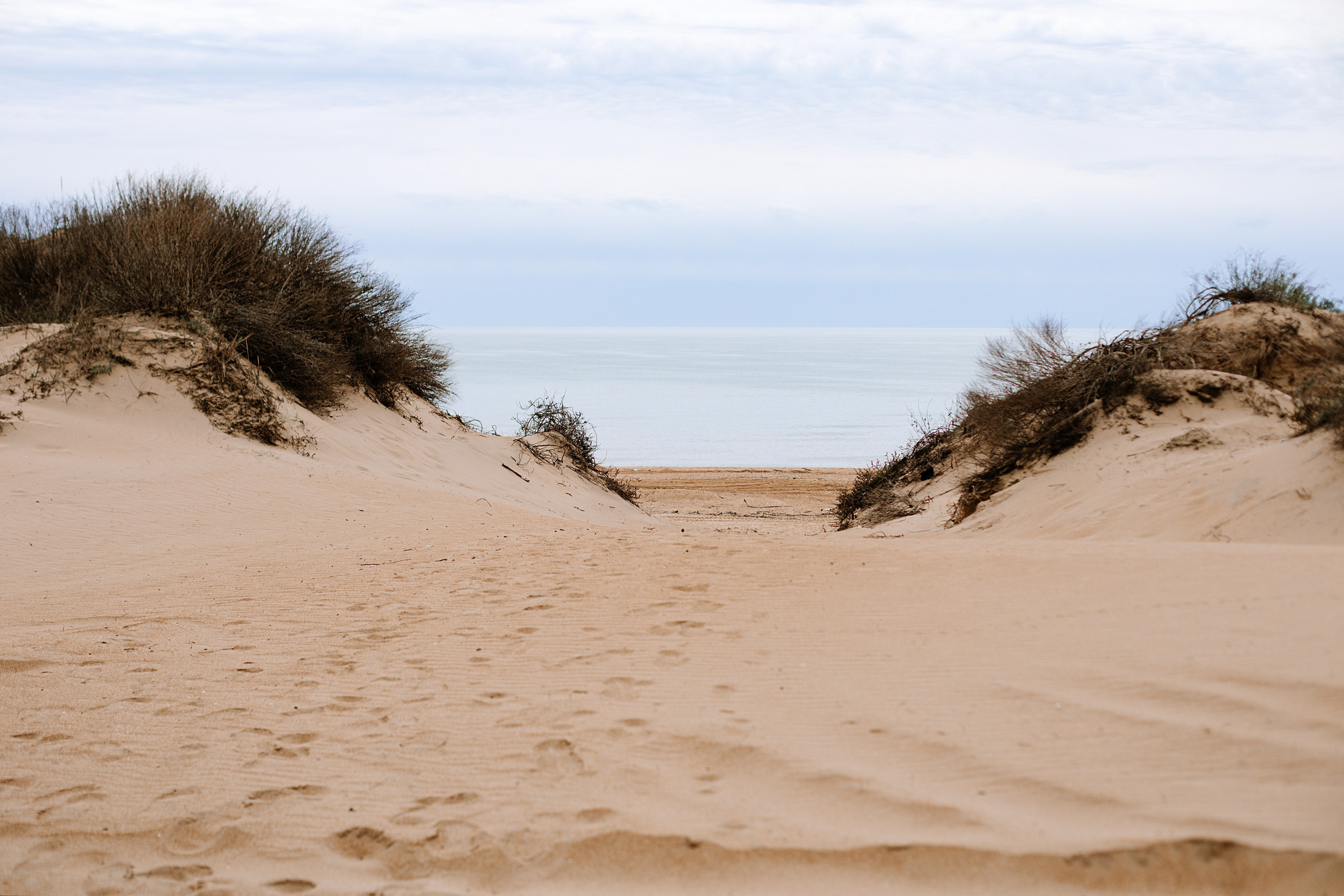 Природа. Свадебный и семейный фотограф/видеограф в Краснодаре Наталья Осинская