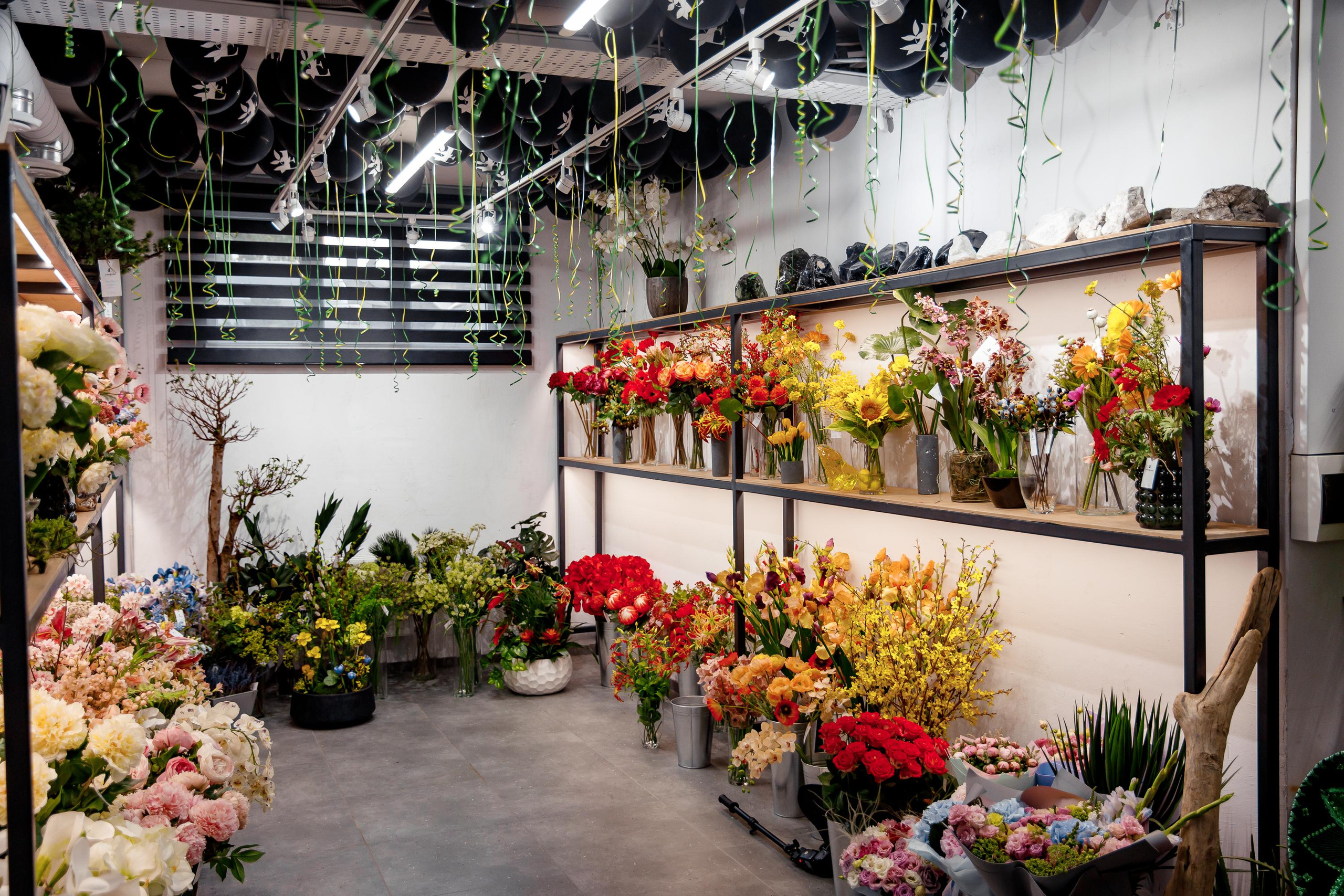 Официальное открытие студии Evergreen design. Фотограф Виталий Вязьмикин