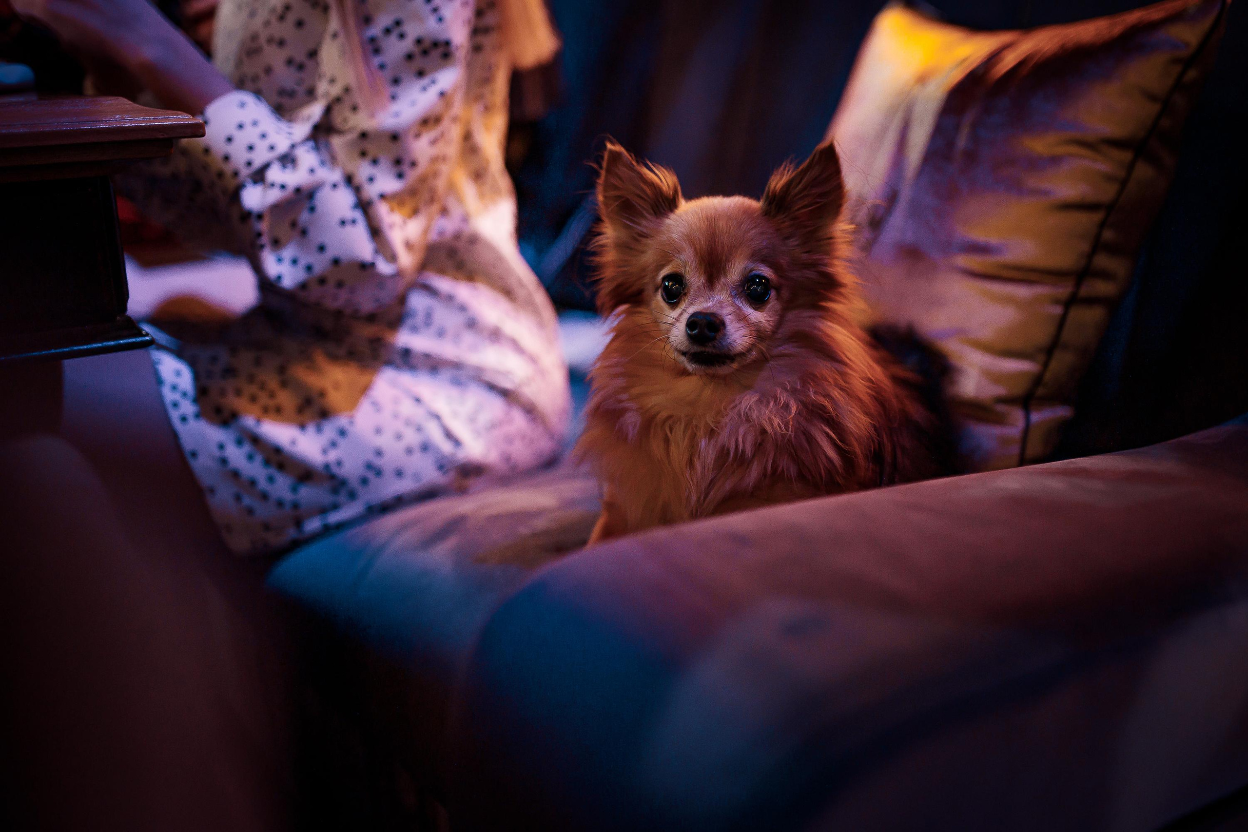 День рождения Насти в ресторане Студио64. Фотограф Виталий Вязьмикин