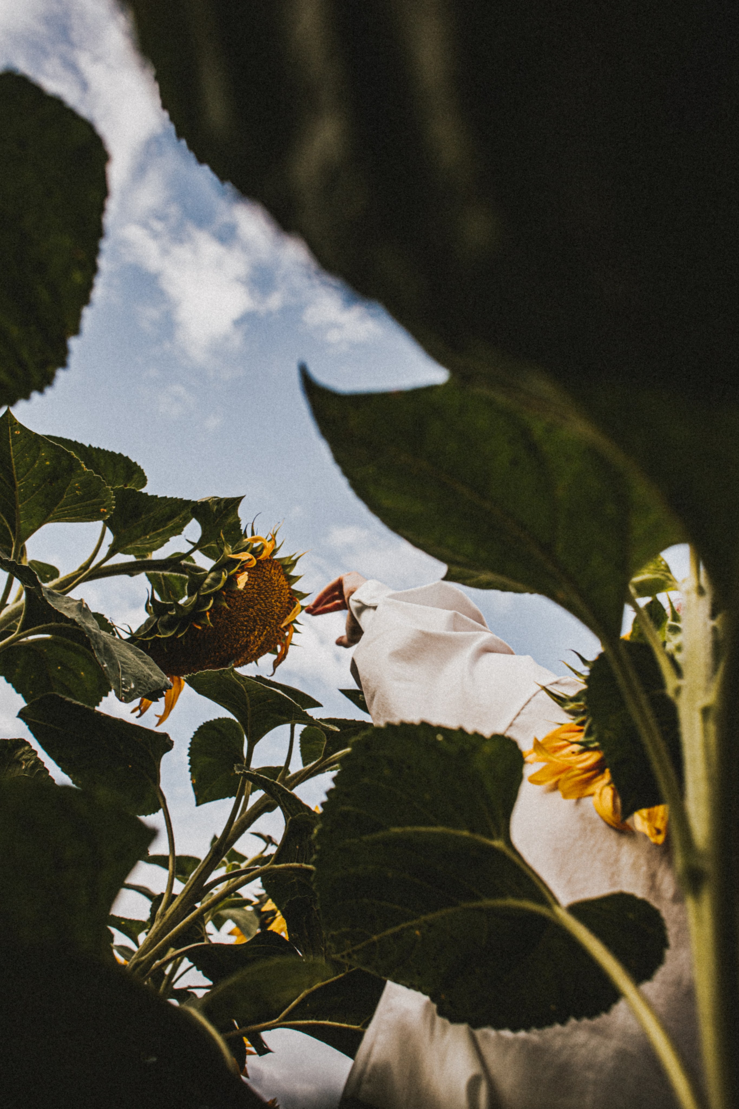 Катя Саратов. Фотограф в Нижнем Новгороде