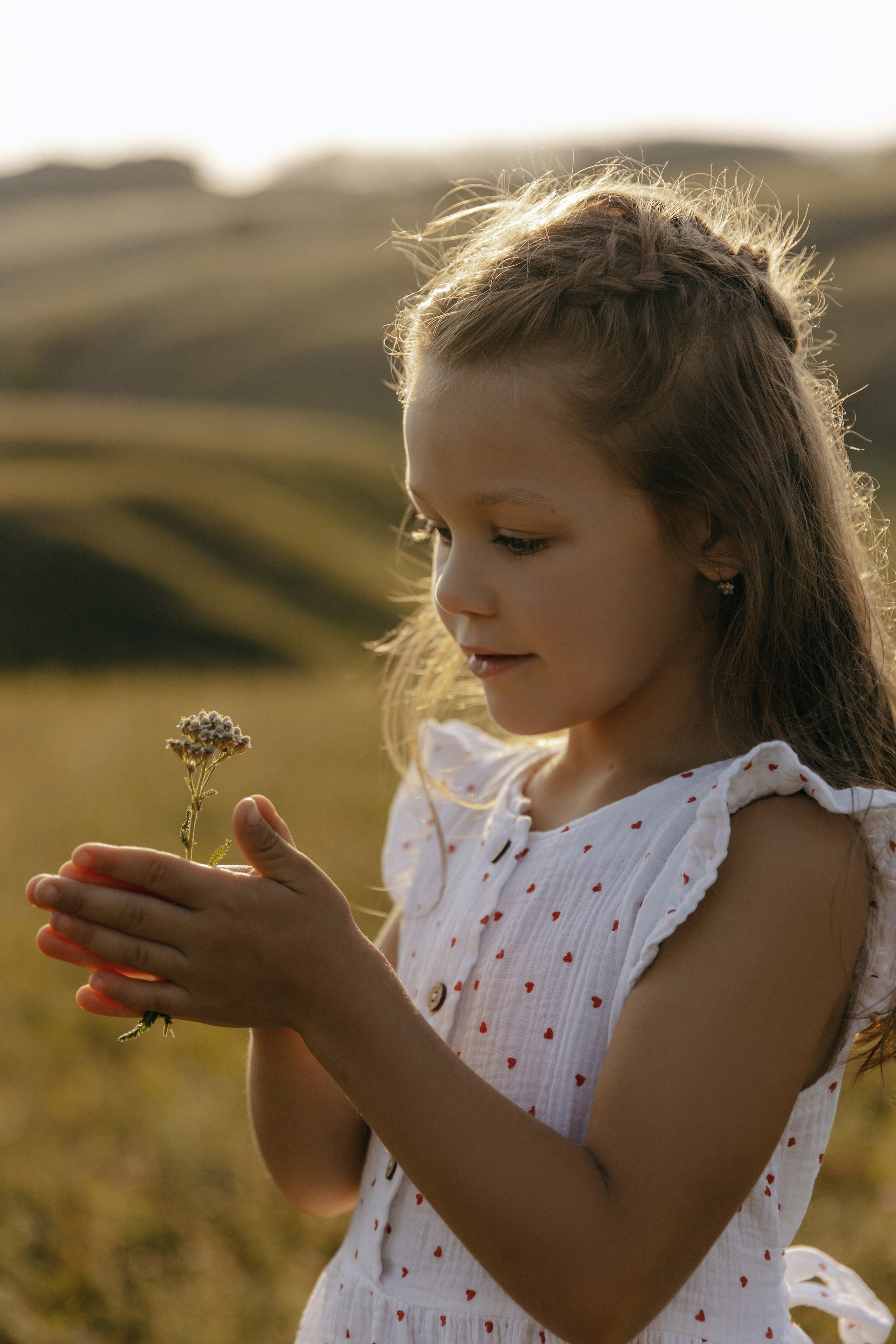 Ромашковая история. Фотограф в Белгороде Анастасия Веленгурская