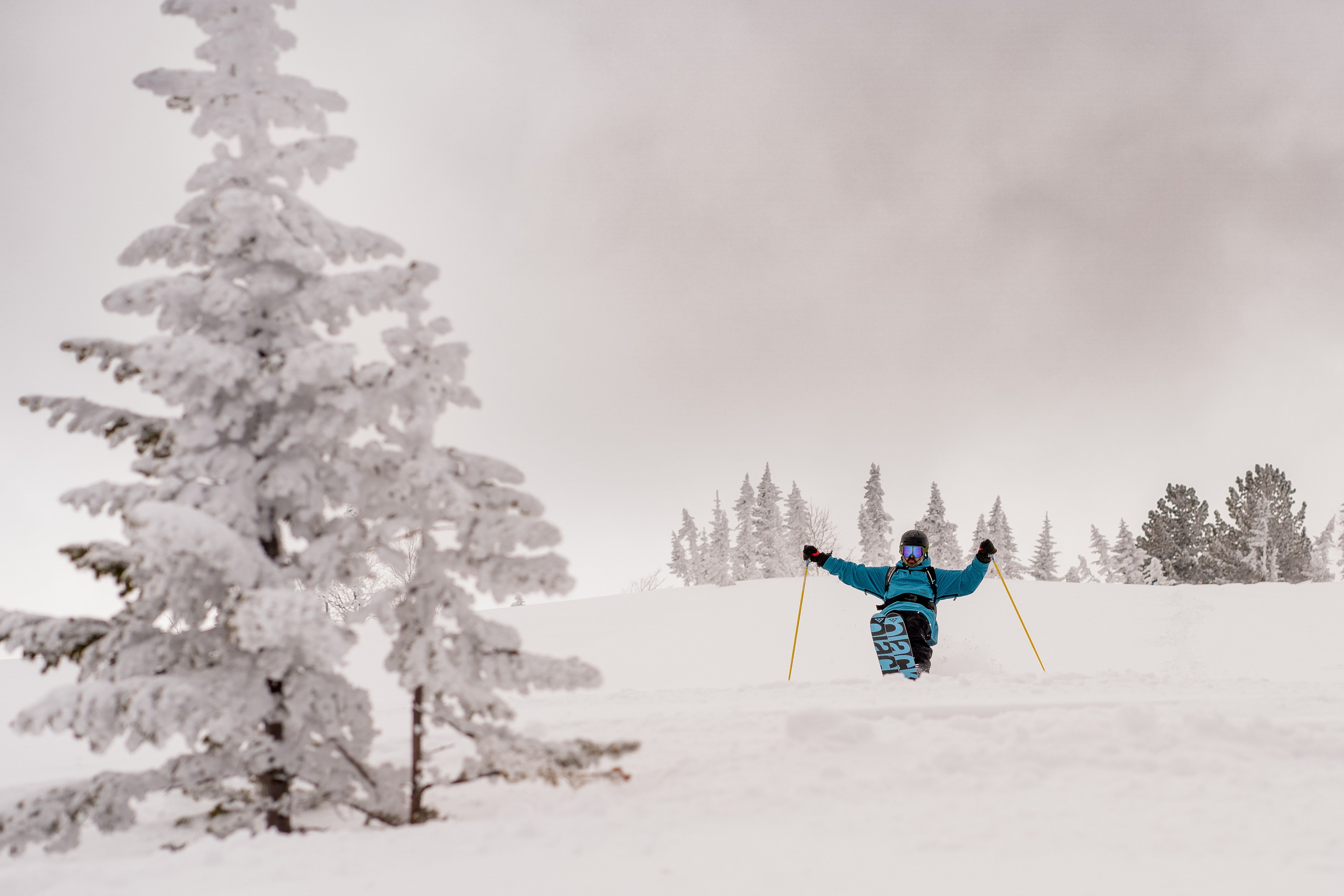 Фрирайд. Анастасия Паршукова — фотограф Шерегеш Новосибирск