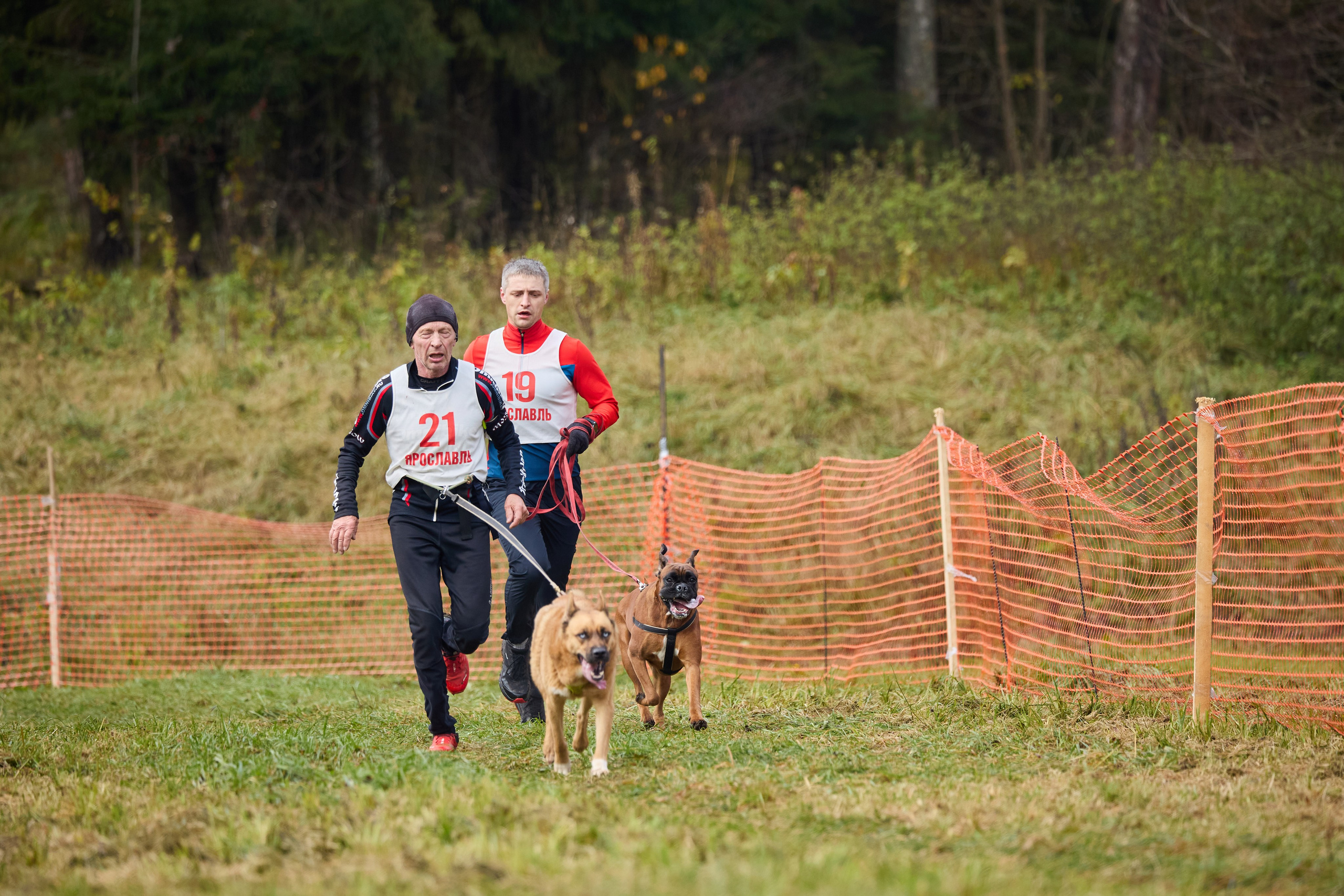 Чемпионат по ЕС Ярославской области. Фотограф Ирина Астор