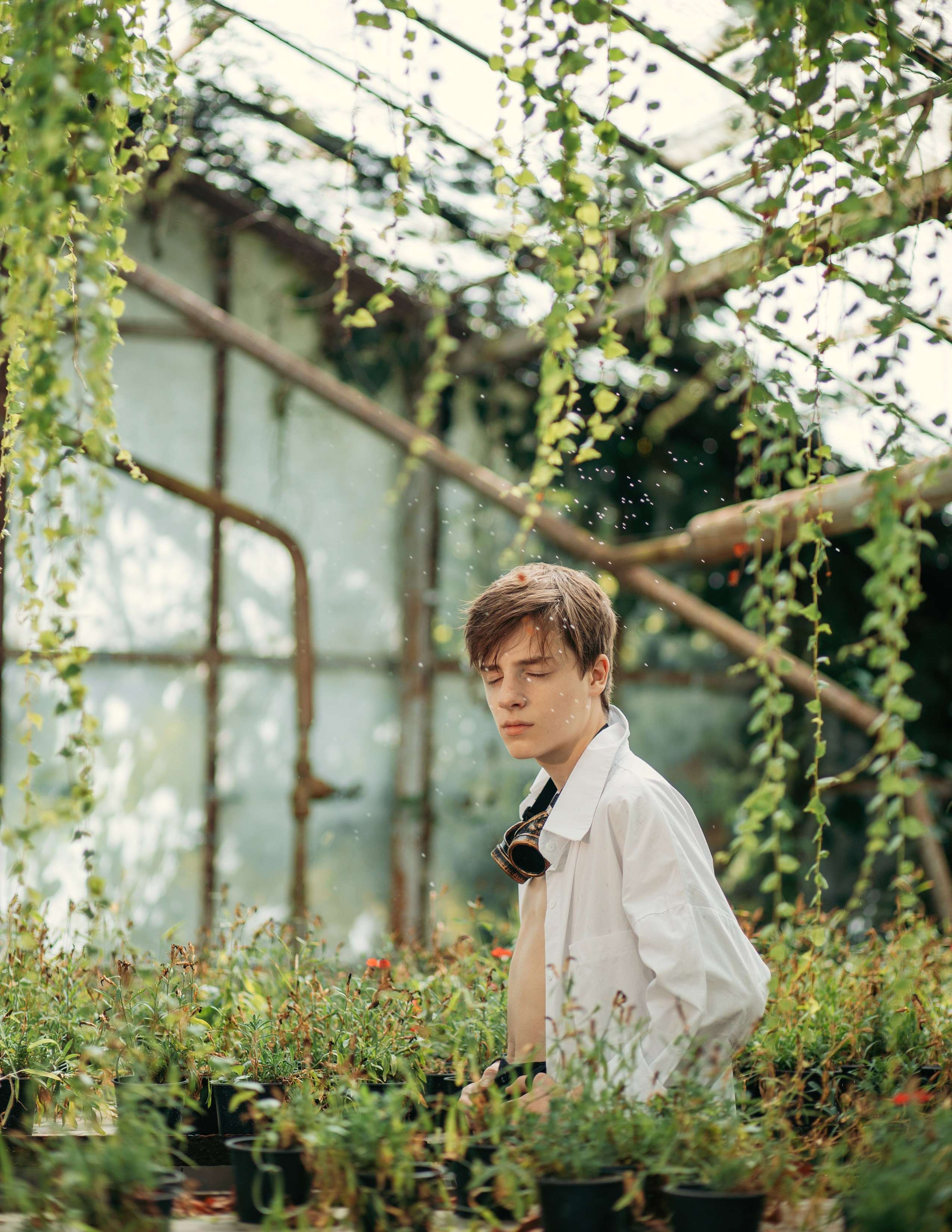 Теплица мацеста. Фотограф Сочи Татьяна Зорина