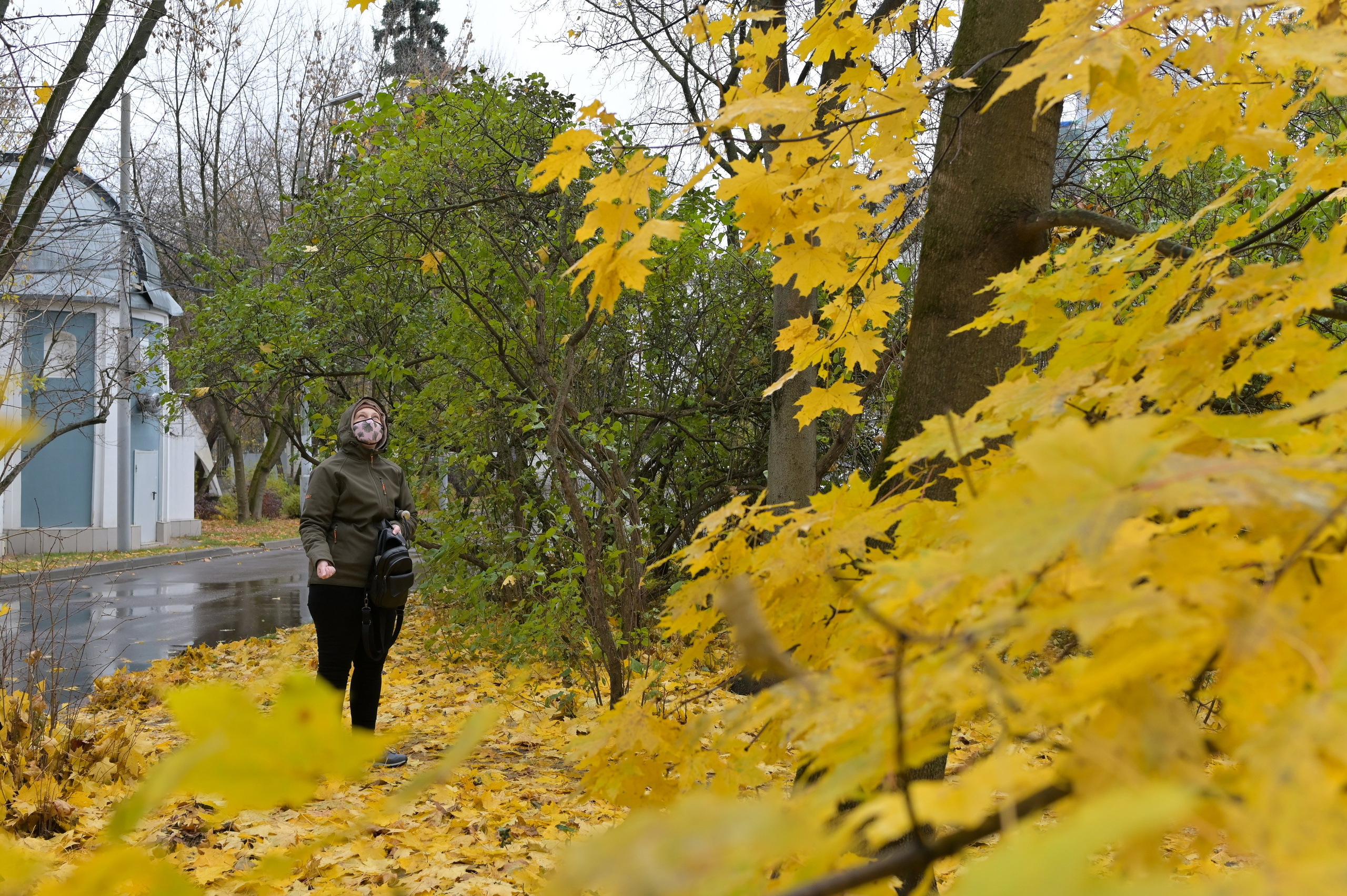 20241026 Сокольники. Дмитрий Ремизов. Фотография, как хобби
