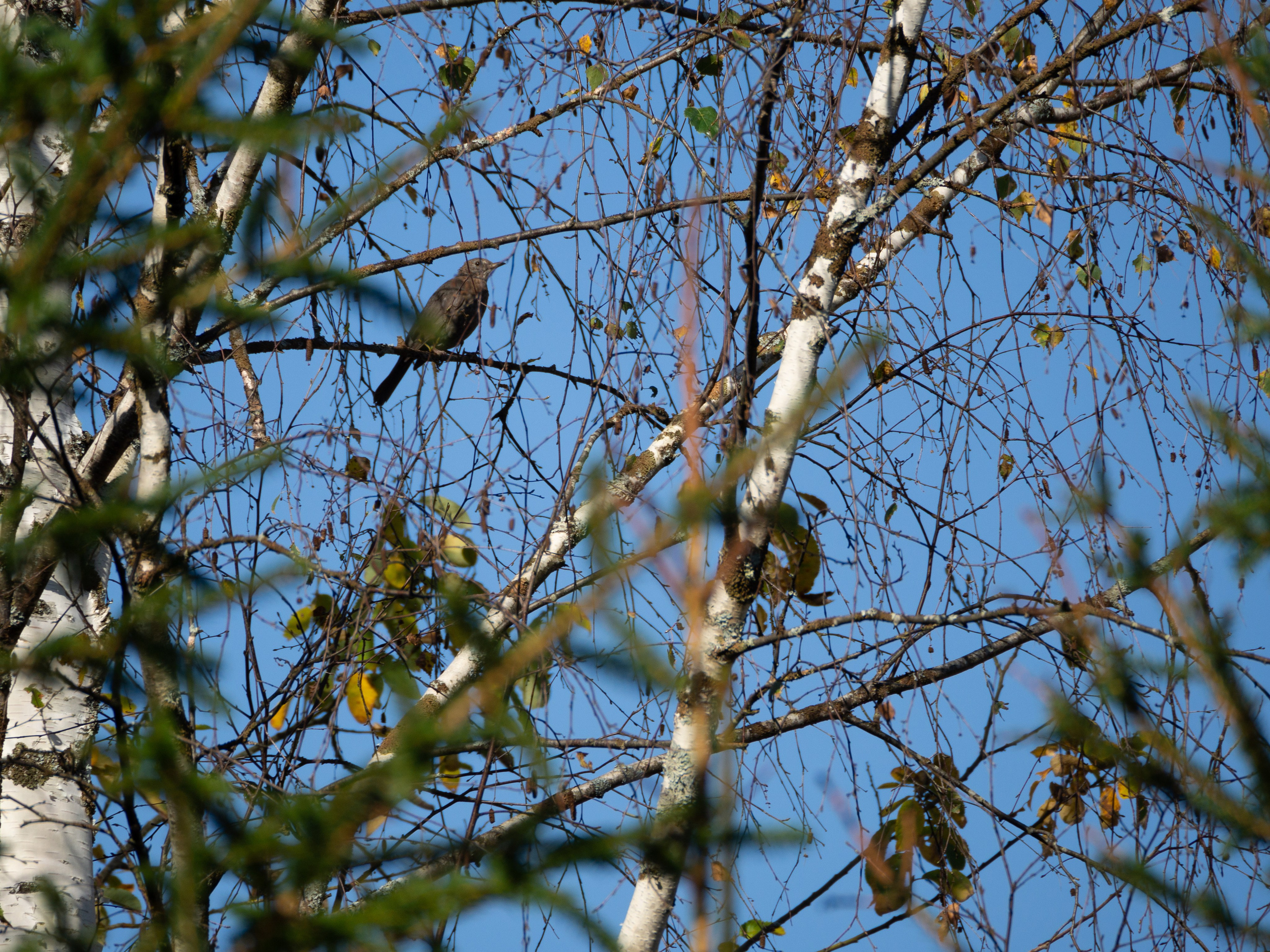 20230923-25 Родники. Дмитрий Ремизов. Фотография, как хобби